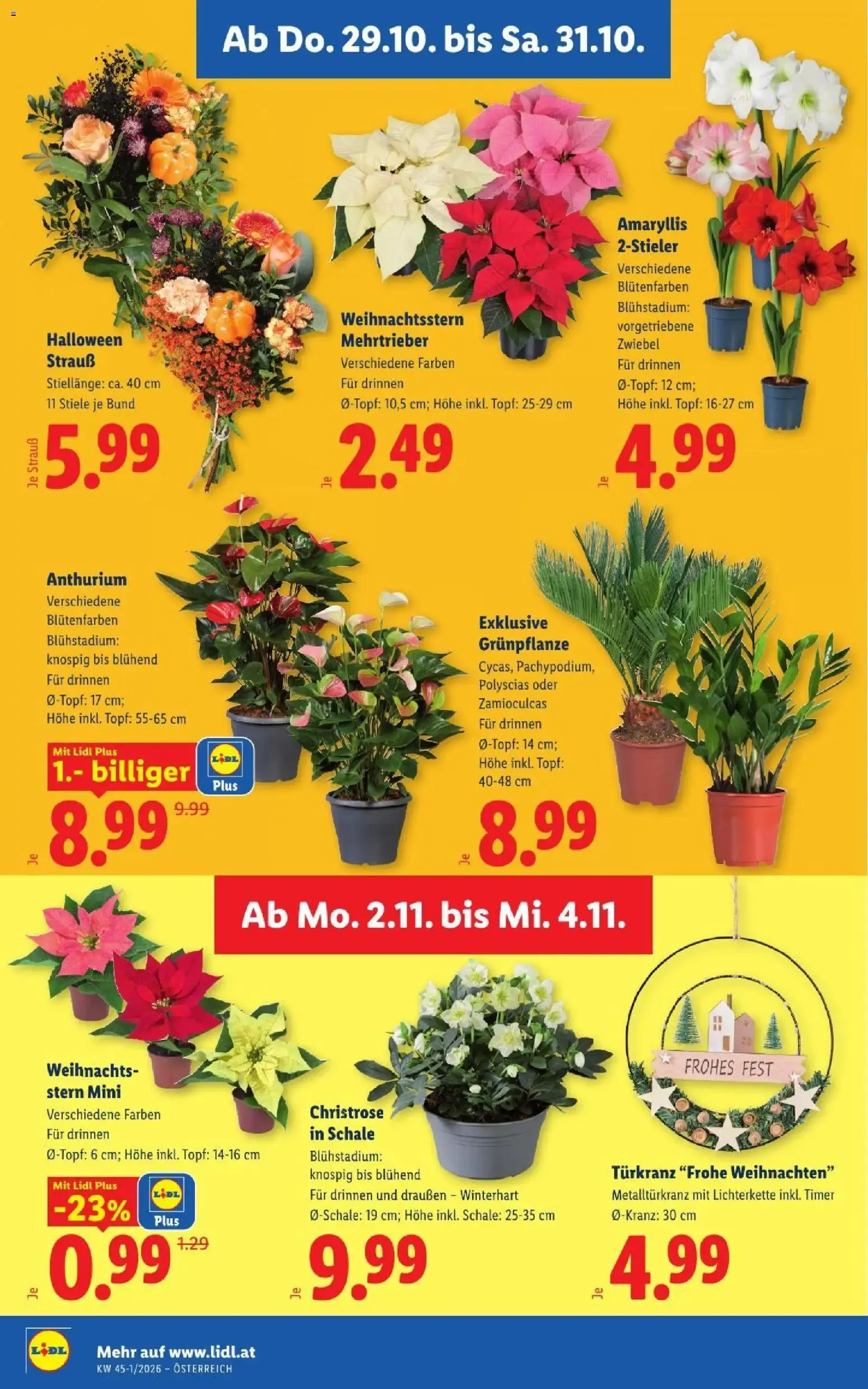 Lidl Flugblatt ab 29.10.2026 - Angebote ab donnerstag von 29. Oktober bis 31. Oktober 2026 - Flugblätt seite  28