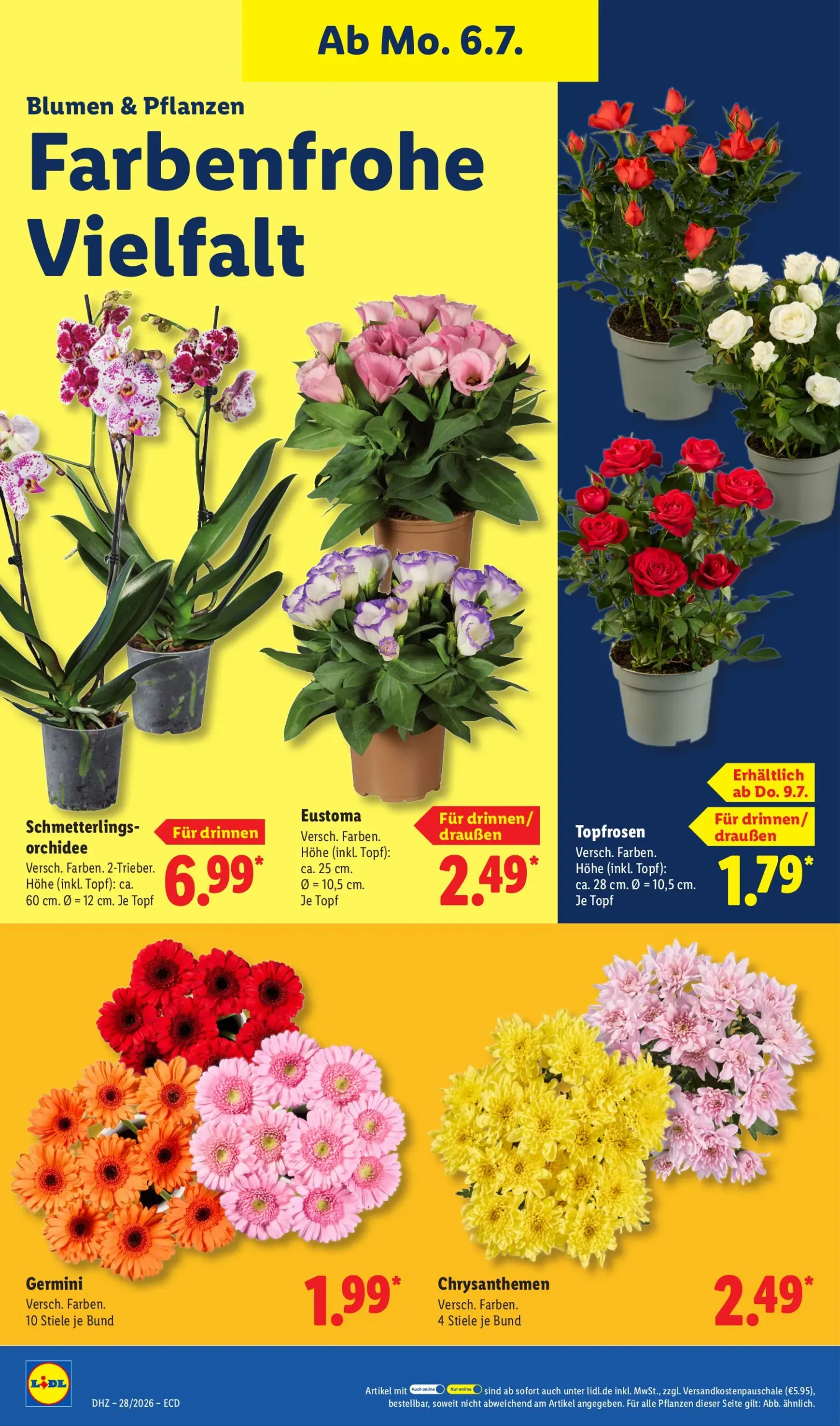 Lidl Prospekt nächste Woche – von Montag 06.07.2026 bis Samstag 11.07.2026 von 6. Juli bis 11. Juli 2026 - Prospekt seite 22