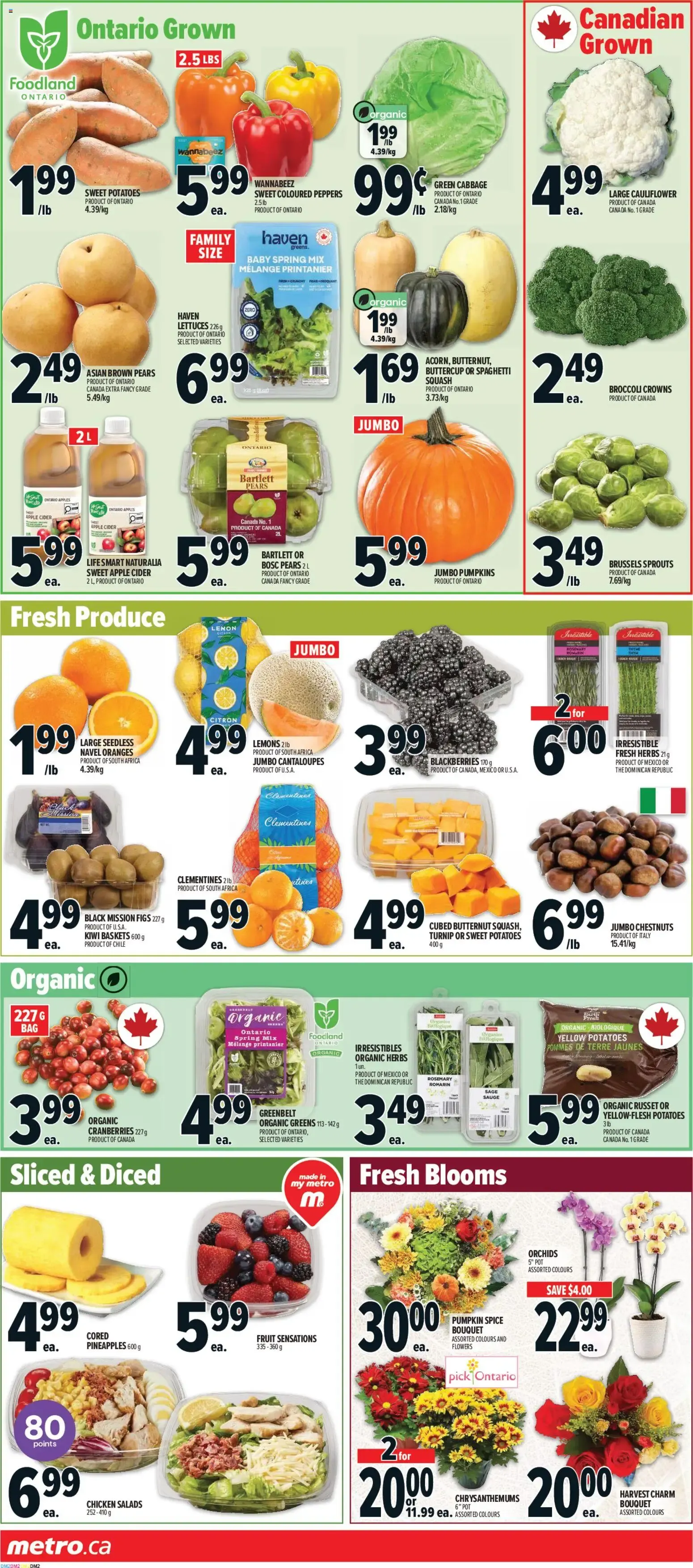 Metro: Get Thanksgiving Ready - Weekly Flyer from October 1 to October 7 2026 - flyer page 3
