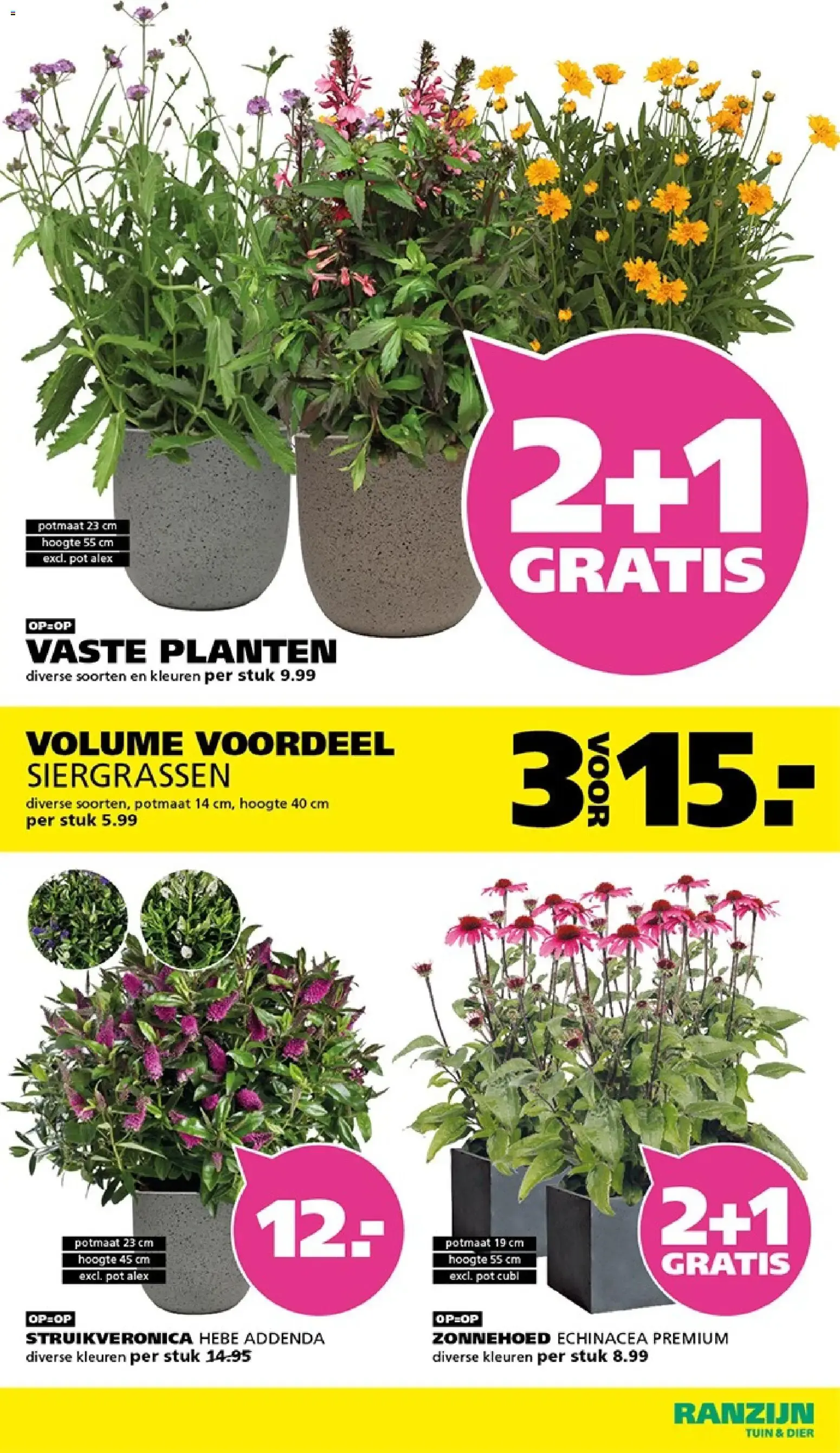 Ranzijn Tuin & Dier: Uitverkoop Tuinmeubelen van 9 augustus tot 22 augustus 2026 - Folder pagina 7