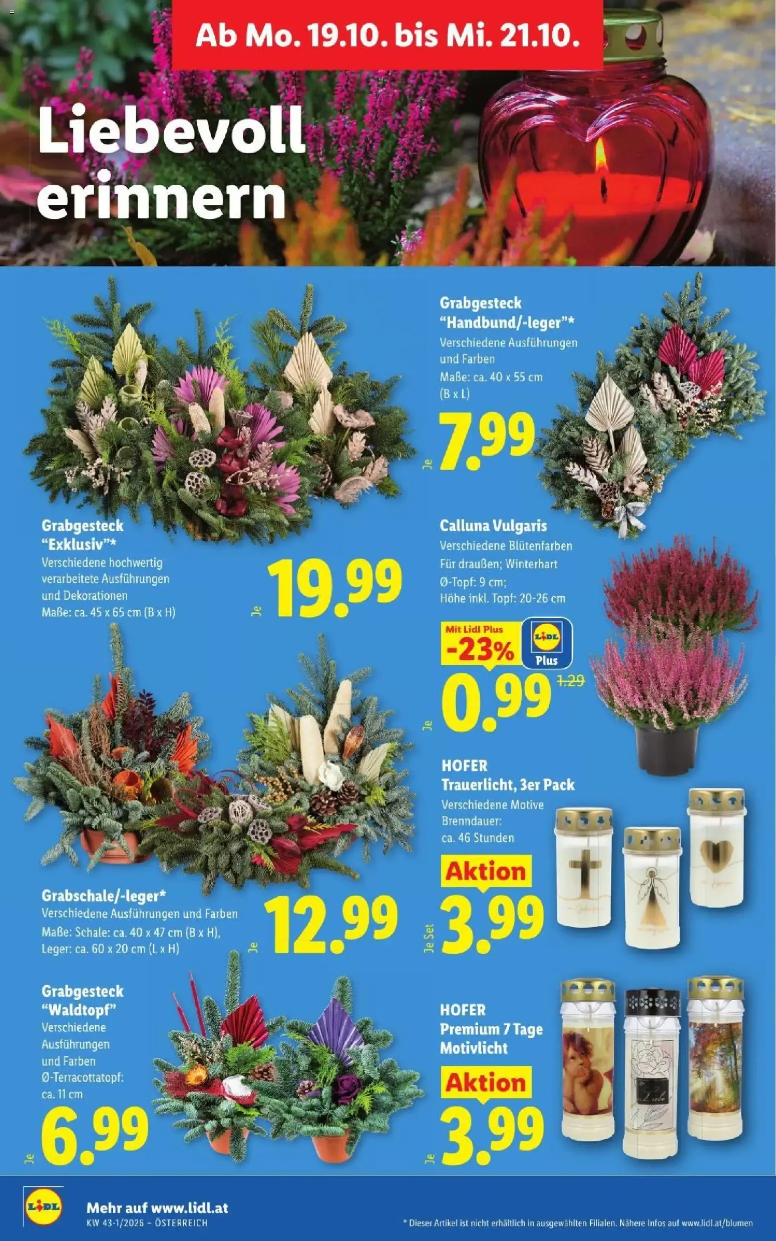 Lidl Flugblatt ab 15.10.2026 - Angebote ab donnerstag von 15. Oktober bis 17. Oktober 2026 - Flugblätt seite 33