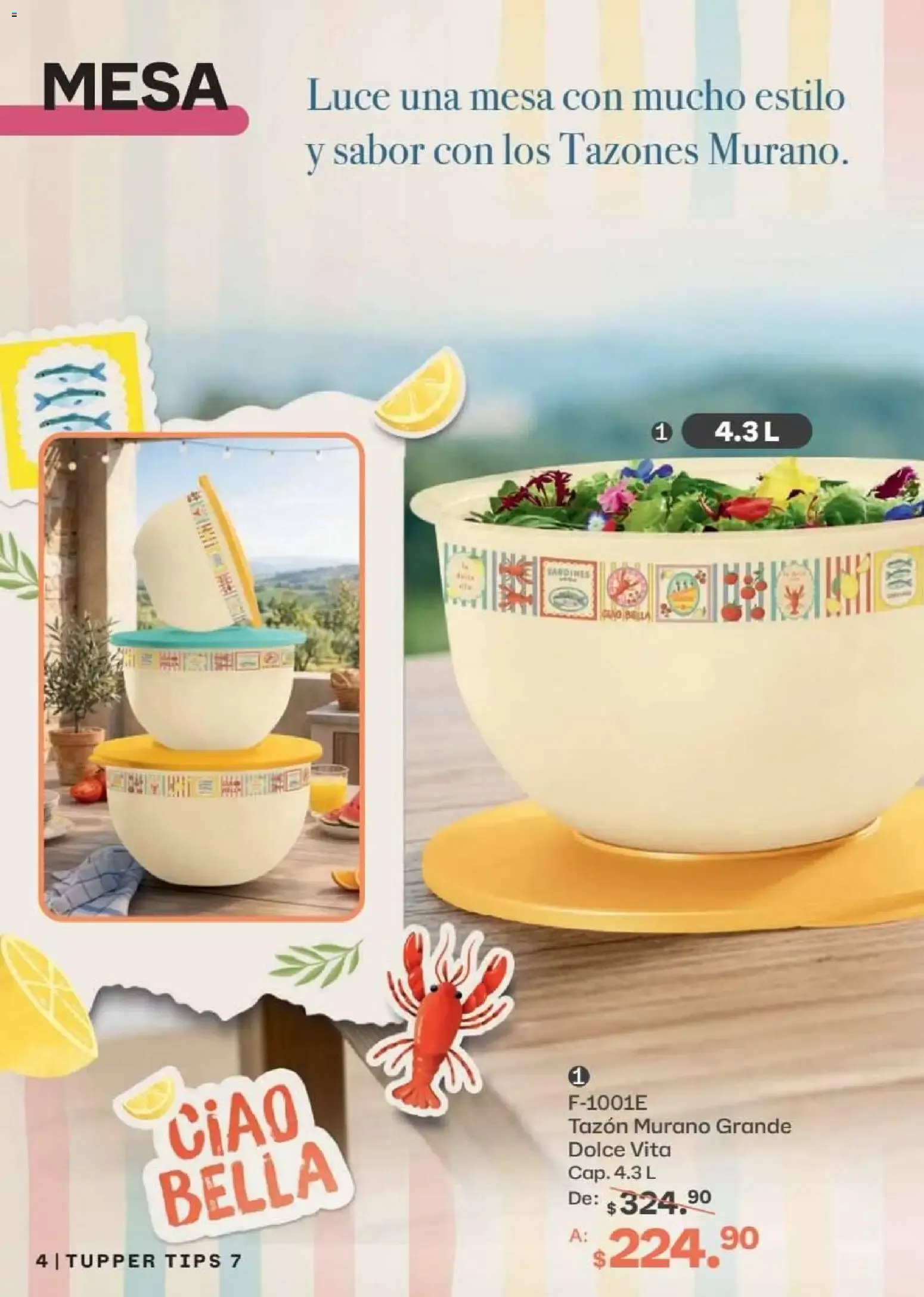 Catálogo de Tupperware - Tupper Tips 07 15 de junio al 12 de julio 2026 - Pagina 4