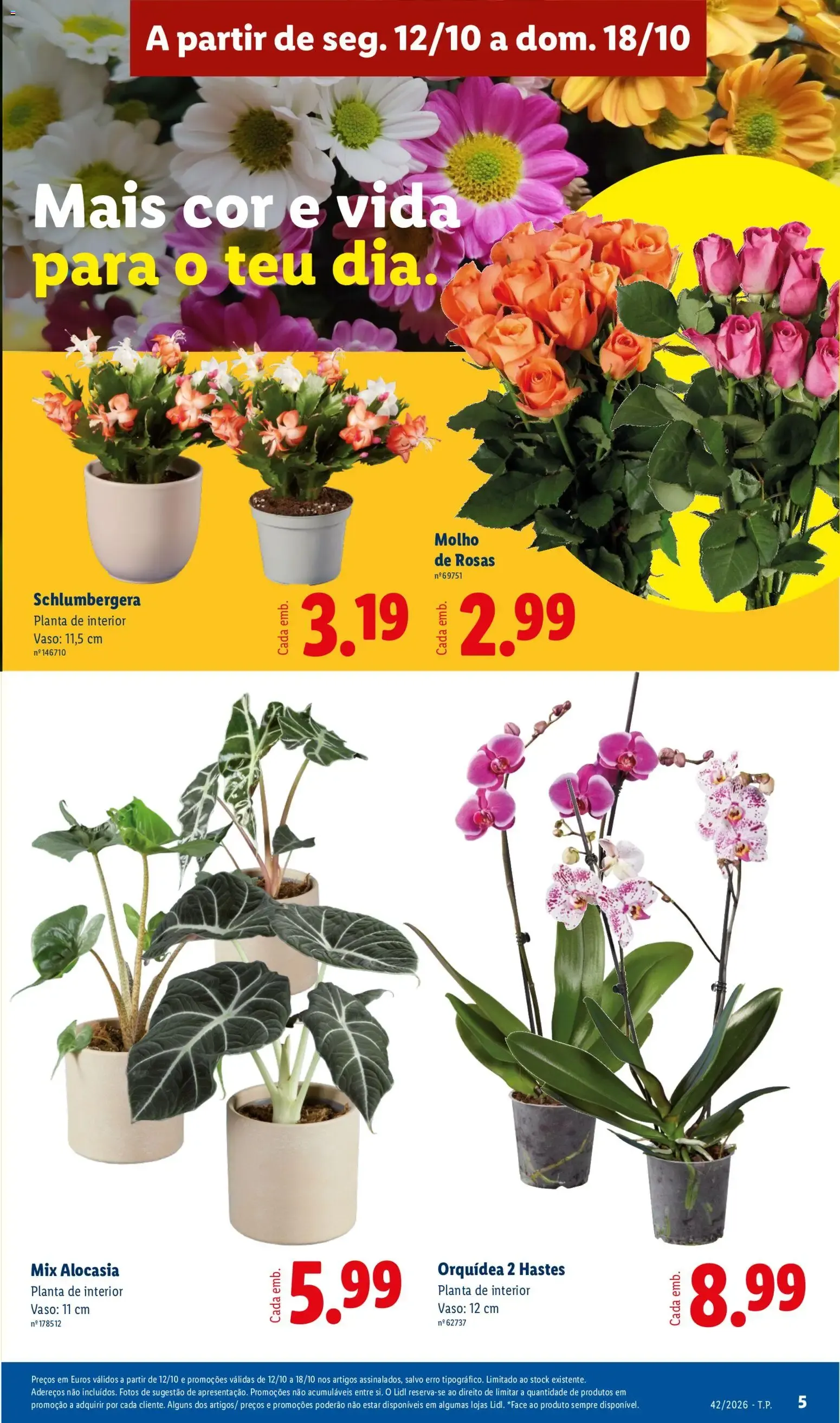 Folheto Lidl folheto » de 12/10/2026 - 18/10/2026 de 12 de outubro até 18 de outubro 2026 - Pagina 5