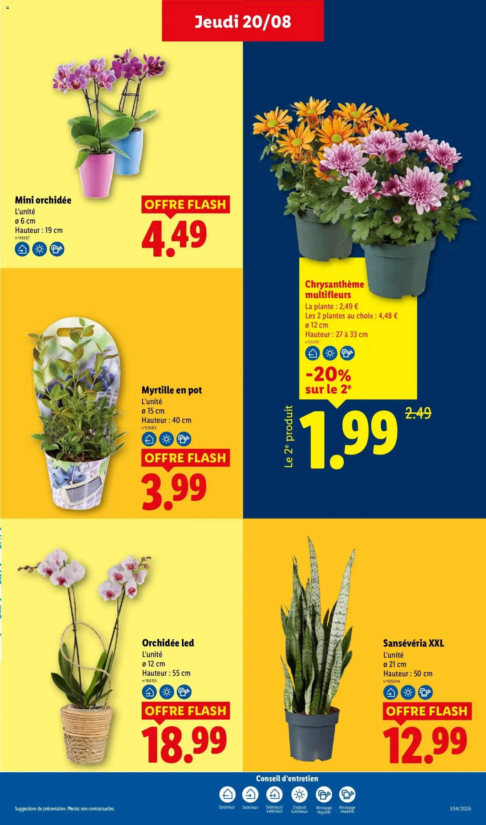 LIDL: La rentrée des économies! du 20 août au 26 août 2026 - Catalogue page 29