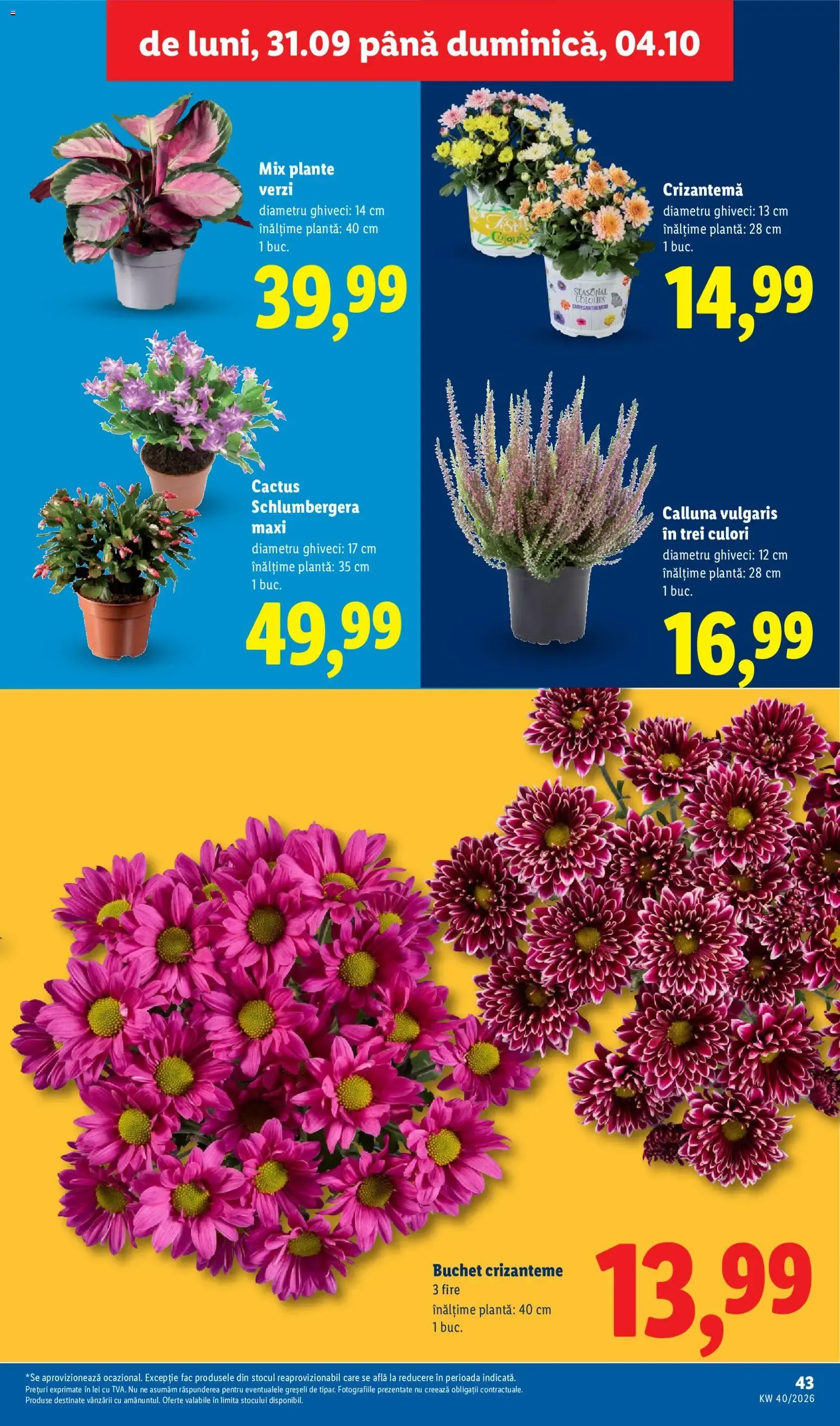 Catalog Catalog LIDL 28.09.2026 - Oferta și Revista online de la 28 septembrie până la 4 octombrie 2026 - Revista Pagina 42