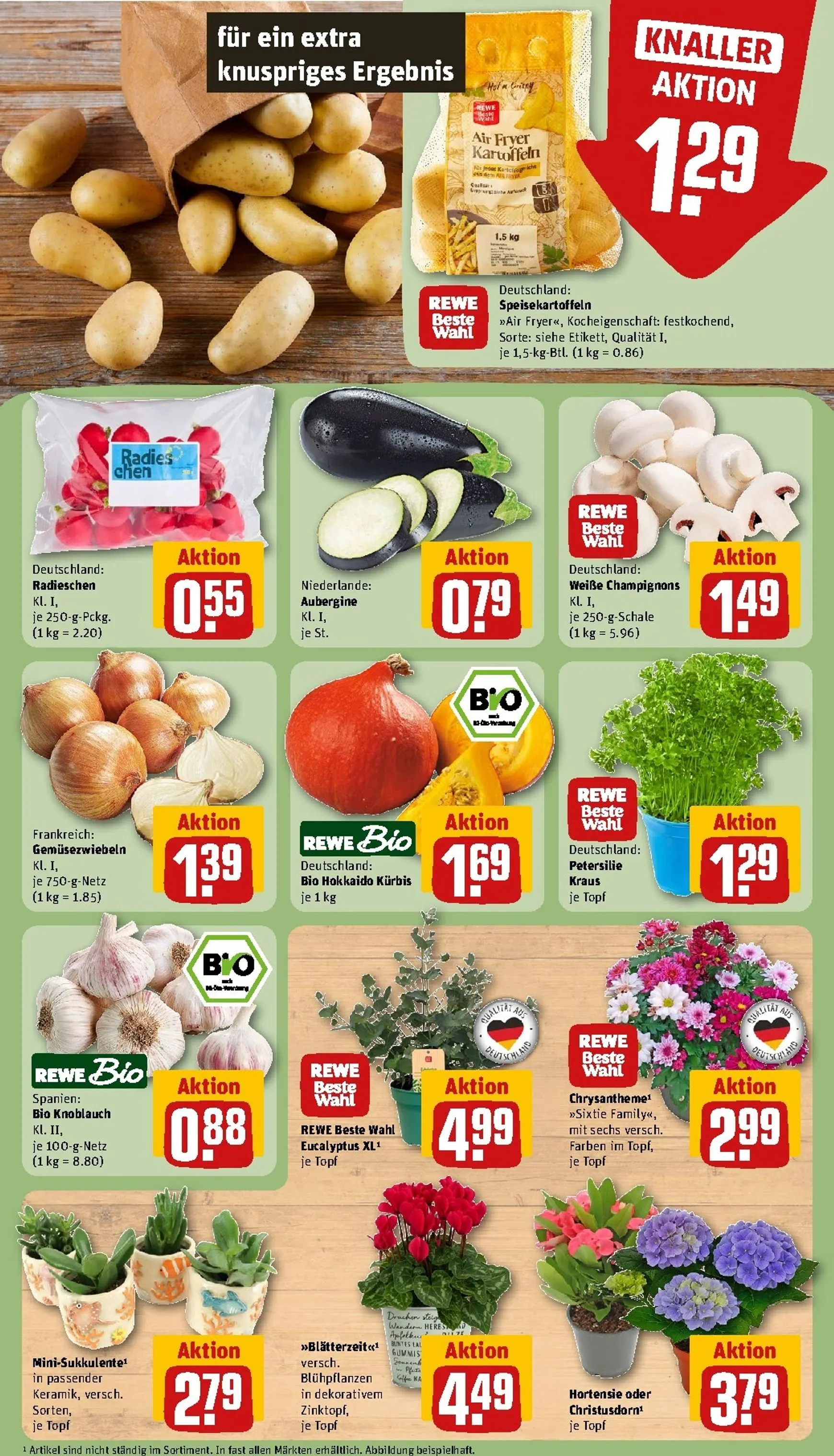 REWE Arina Fester Dein Markt von 24. August bis 30. August 2026 - Prospekt seite 7