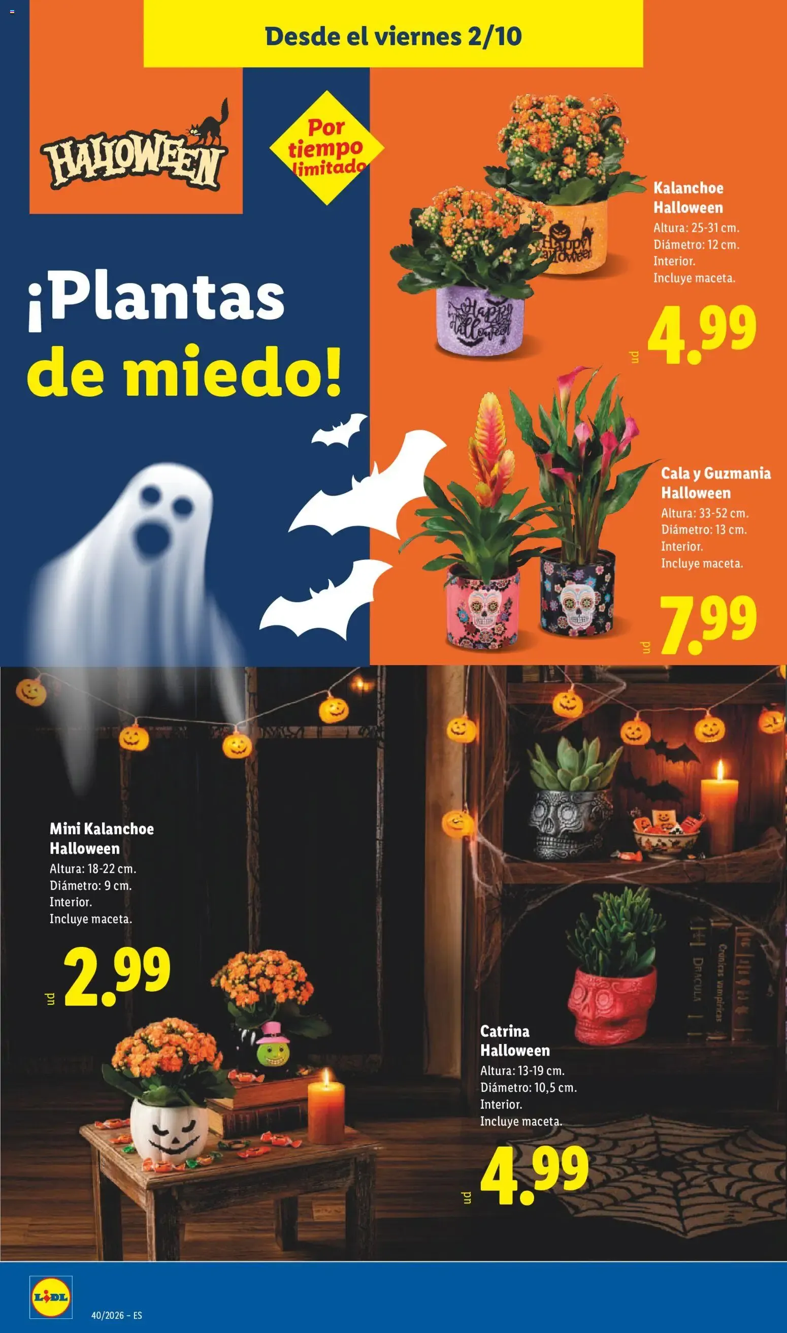 Catálogo de Lidl folleto Halloween del 02/10/2026 | Ofertas 2 de octubre al 25 de octubre 2026 - Página 14