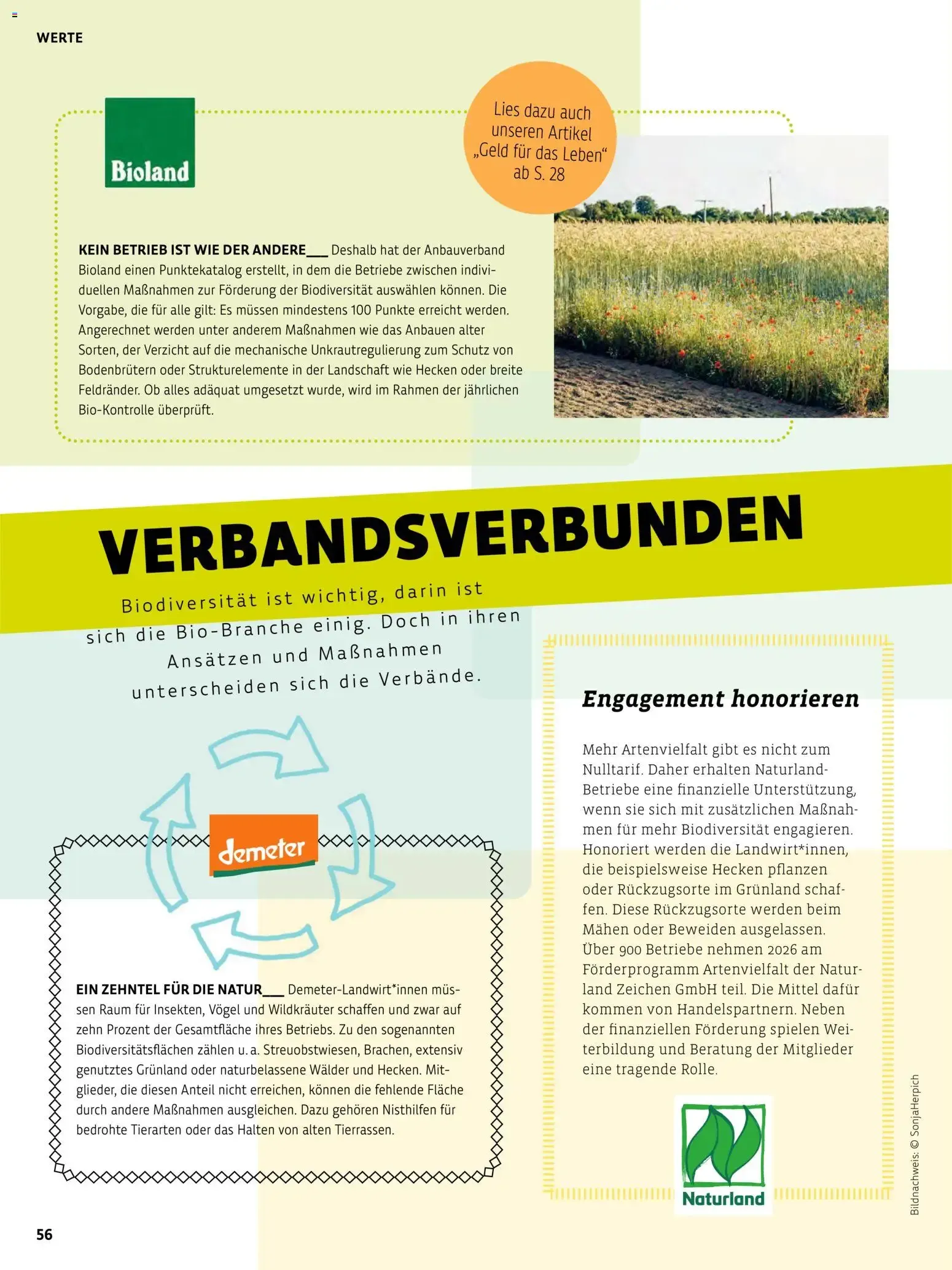 Das BioMarkt Magazin KREO von 17. Juli bis 30. September 2026 - Prospekt seite 55