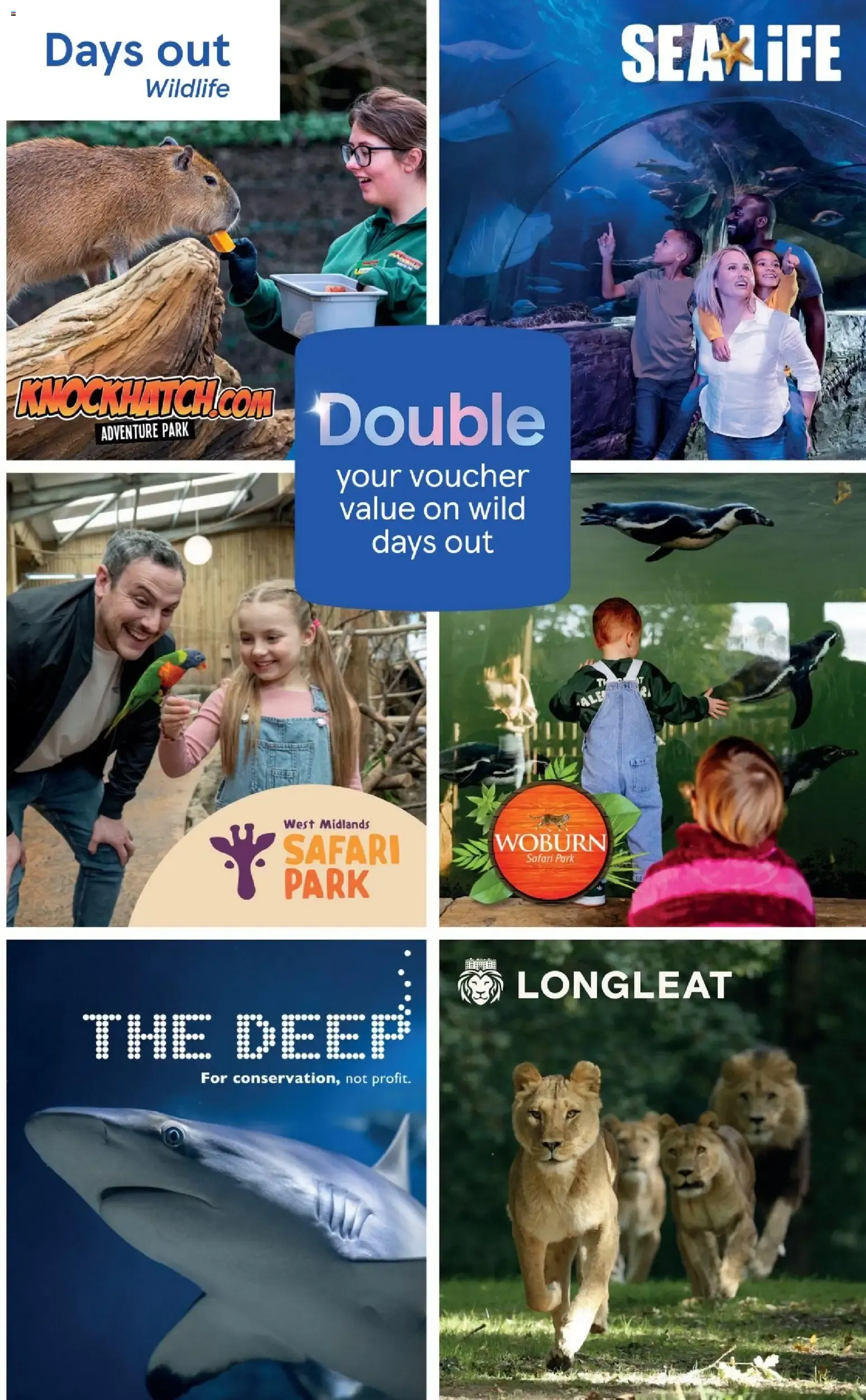 TESCO Clubcard: Know what you're sitting on from 14 July to 31 August 2026 - Catalogue Page 11