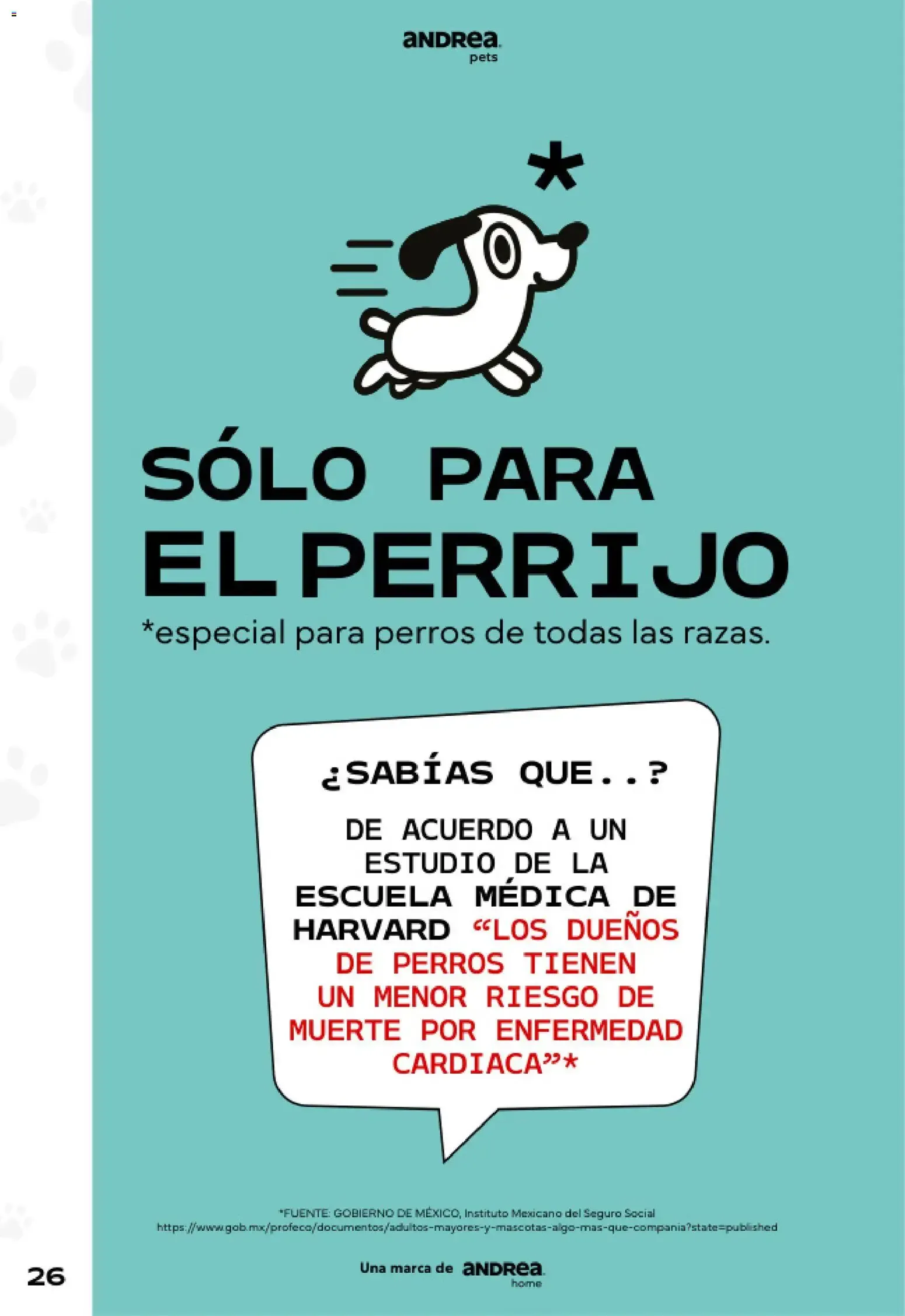 Catálogo de Andrea catálogo Pets 2026 - Catálogos en línea de 24/05 - 22/08 24 de mayo al 22 de agosto 2026 - Pagina 26