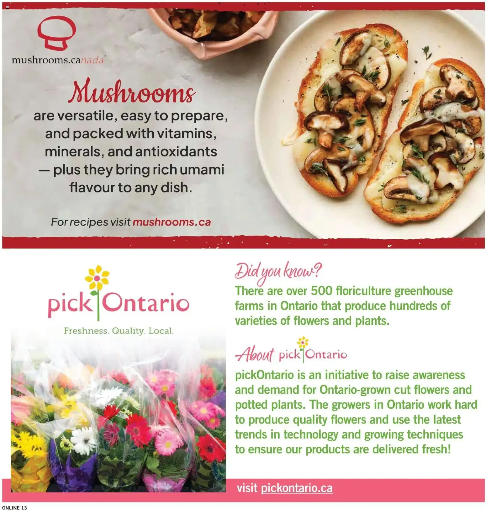 Fortinos weekly flyer / circulaire from Jul 30, 2026 > weekly specials & deals from July 30 to August 5 2026 - flyer page 14
