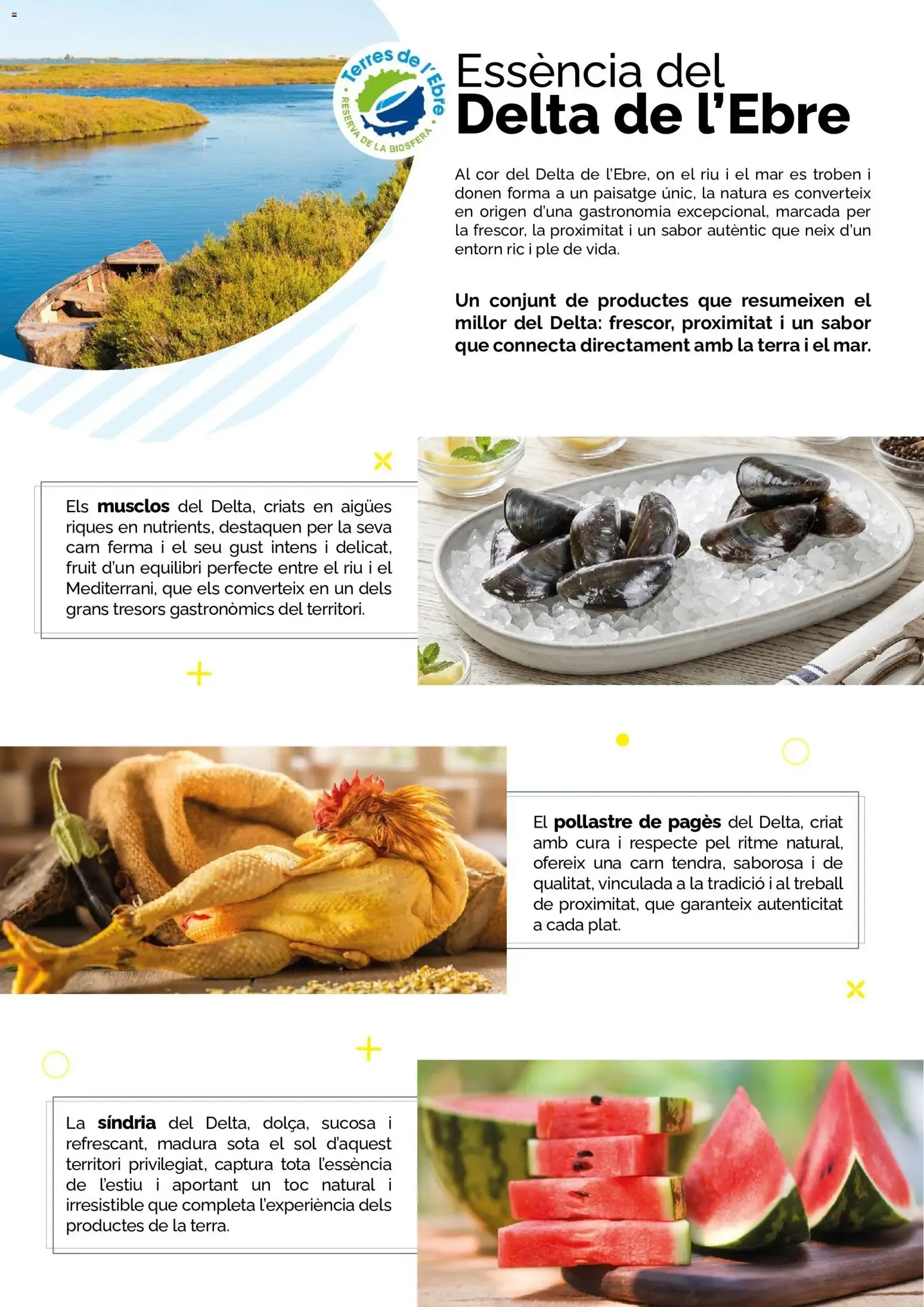Catálogo de Condis LOTS ESTALVI 1 de julio al 14 de julio 2026 - Página 2