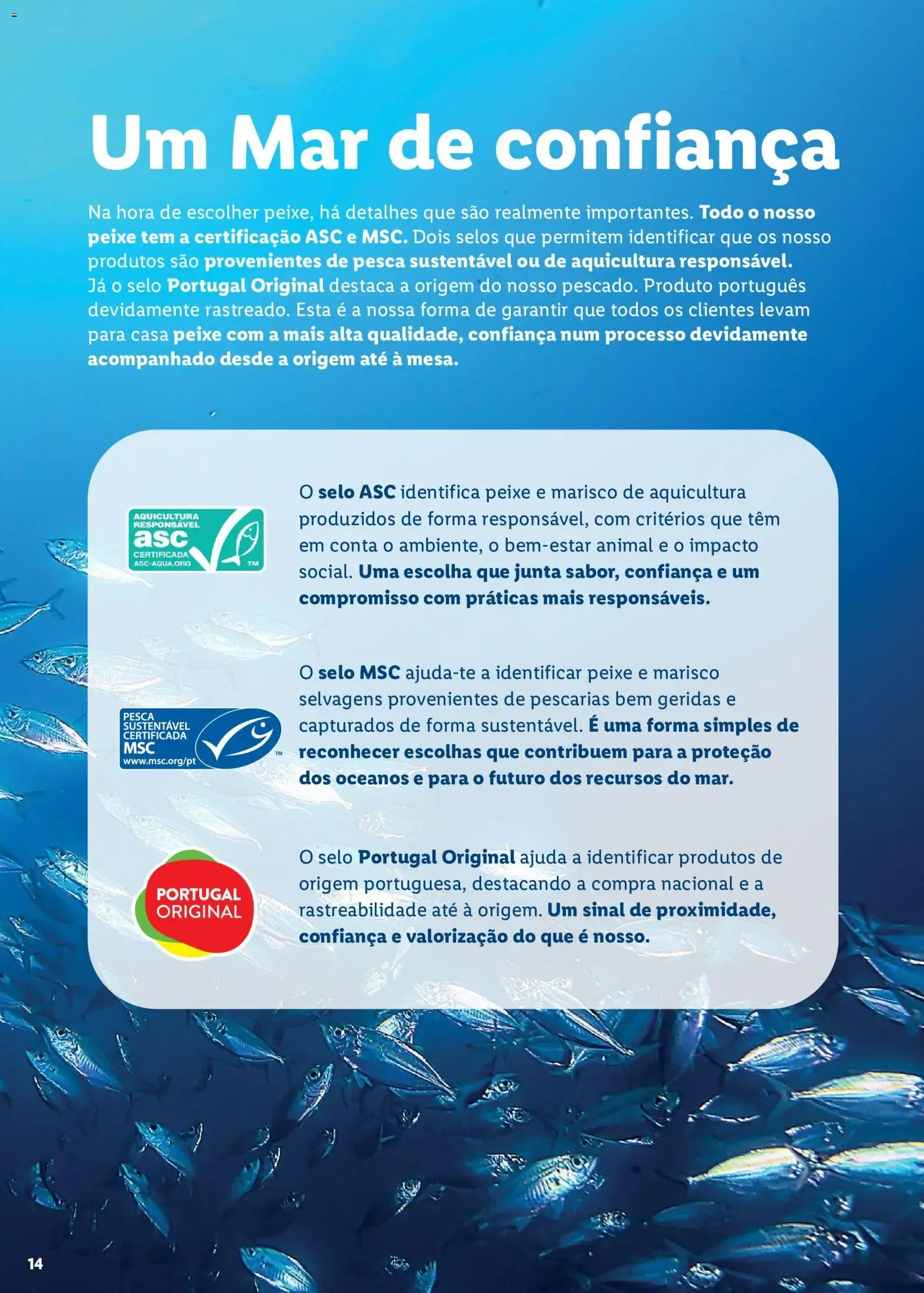 Folheto Lidl Feira do Mar » de 07/05/2026 - 03/05/2027 de 7 de maio até 3 de maio 2027 - Pagina 14