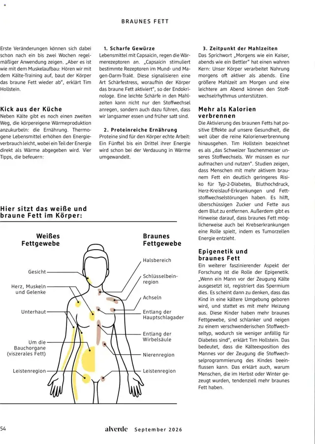dm Magazin alverde von 1. September bis 30. September 2026 - Prospekt seite 54