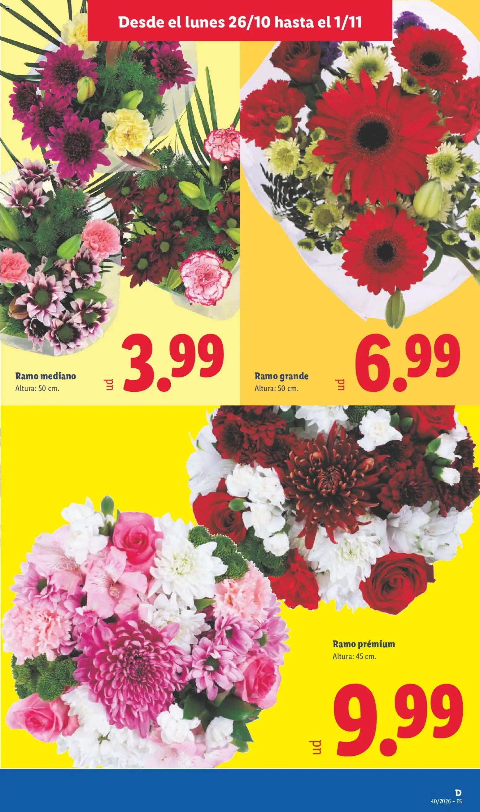 Catálogo de Lidl folleto del 26/10/2026 | Ofertas 26 de octubre al 1 de noviembre 2026 - Página 49