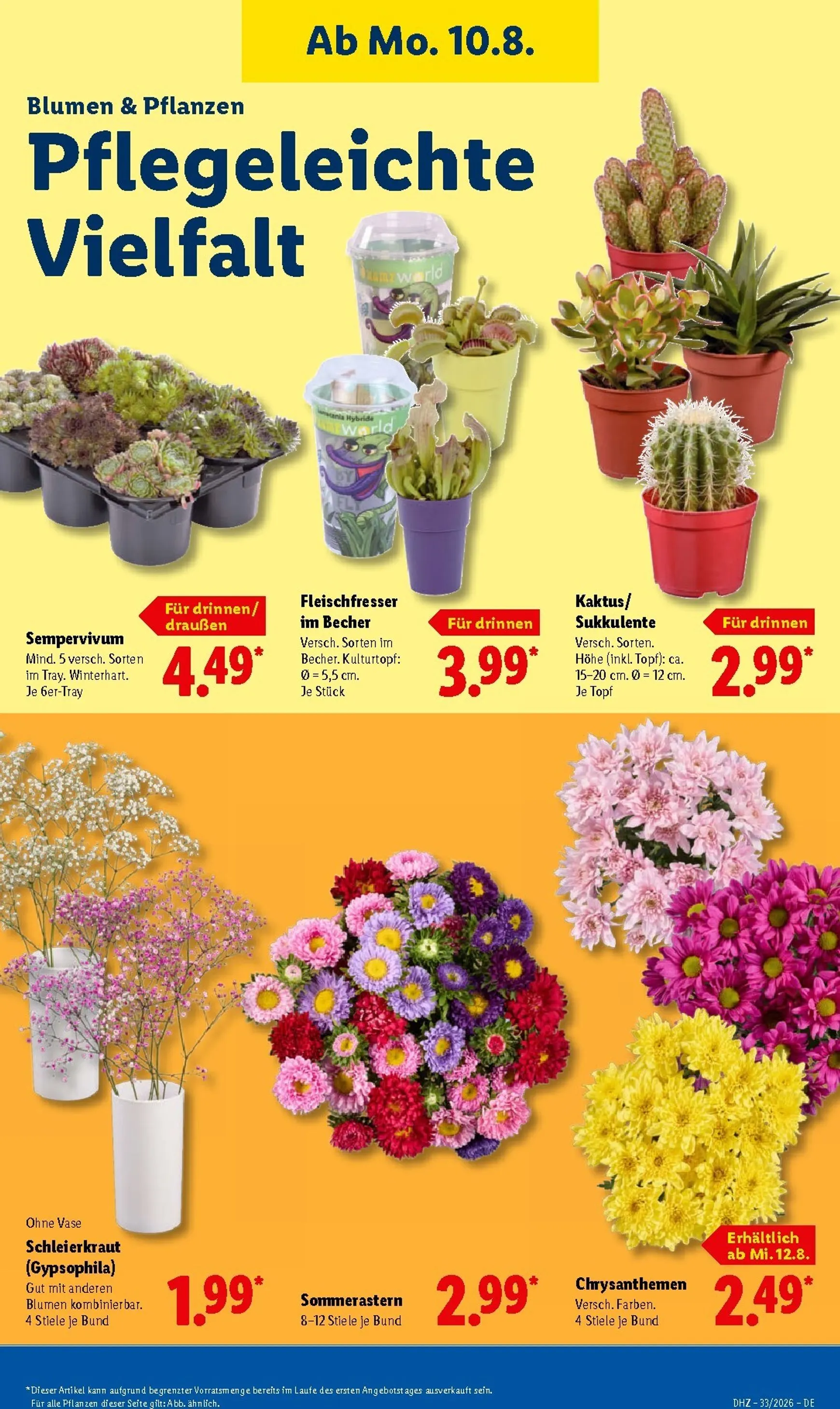 Lidl: Sparen beim Preisführer, Spanische Woche & Sale von 10. August bis 15. August 2026 - Prospekt seite 24