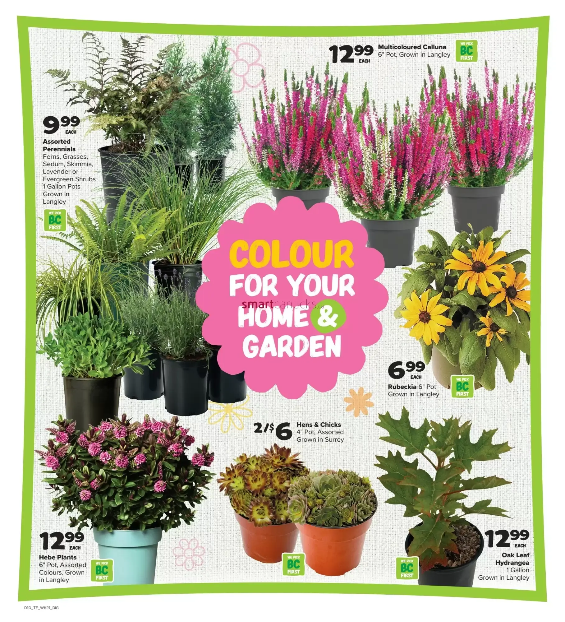 Thrifty Foods from September 17 to September 23 2026 - flyer page 16