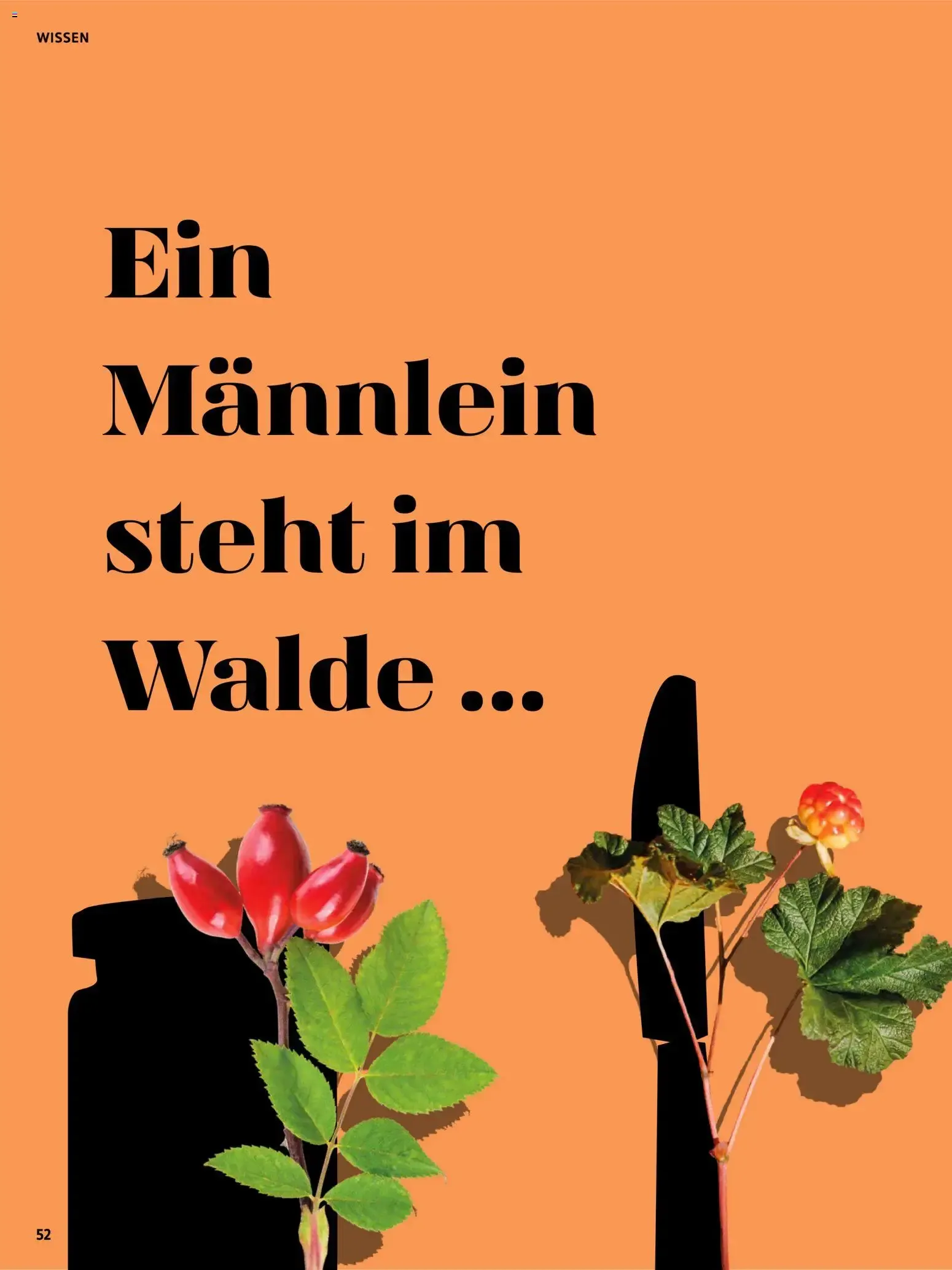 Das BioMarkt Magazin KREO von 17. Juli bis 30. September 2026 - Prospekt seite 51