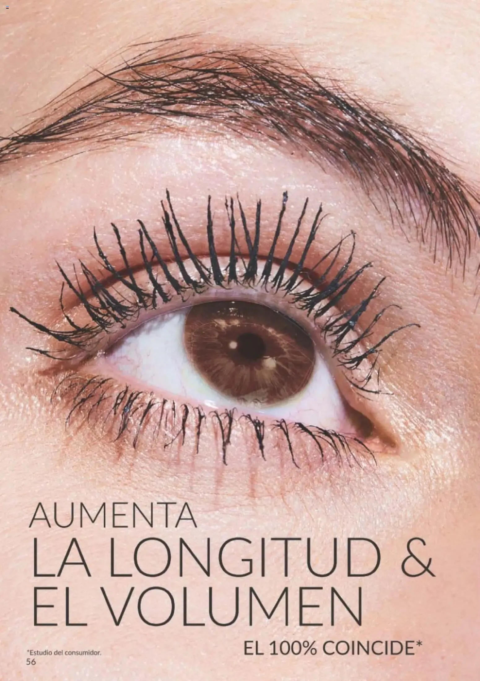 Catálogo de Avon Campaña 11/2026 Noviembre: ¡Hazlos Brillar! 1 de noviembre al 30 de noviembre 2026 - Página 56