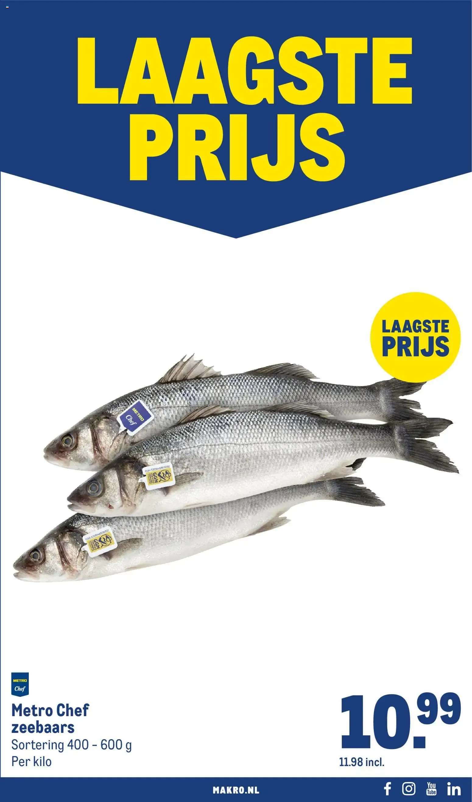Makro folder vanaf 23-09-2026 || NIEUWE van 23 september tot 4 oktober 2026 - Folder pagina 36