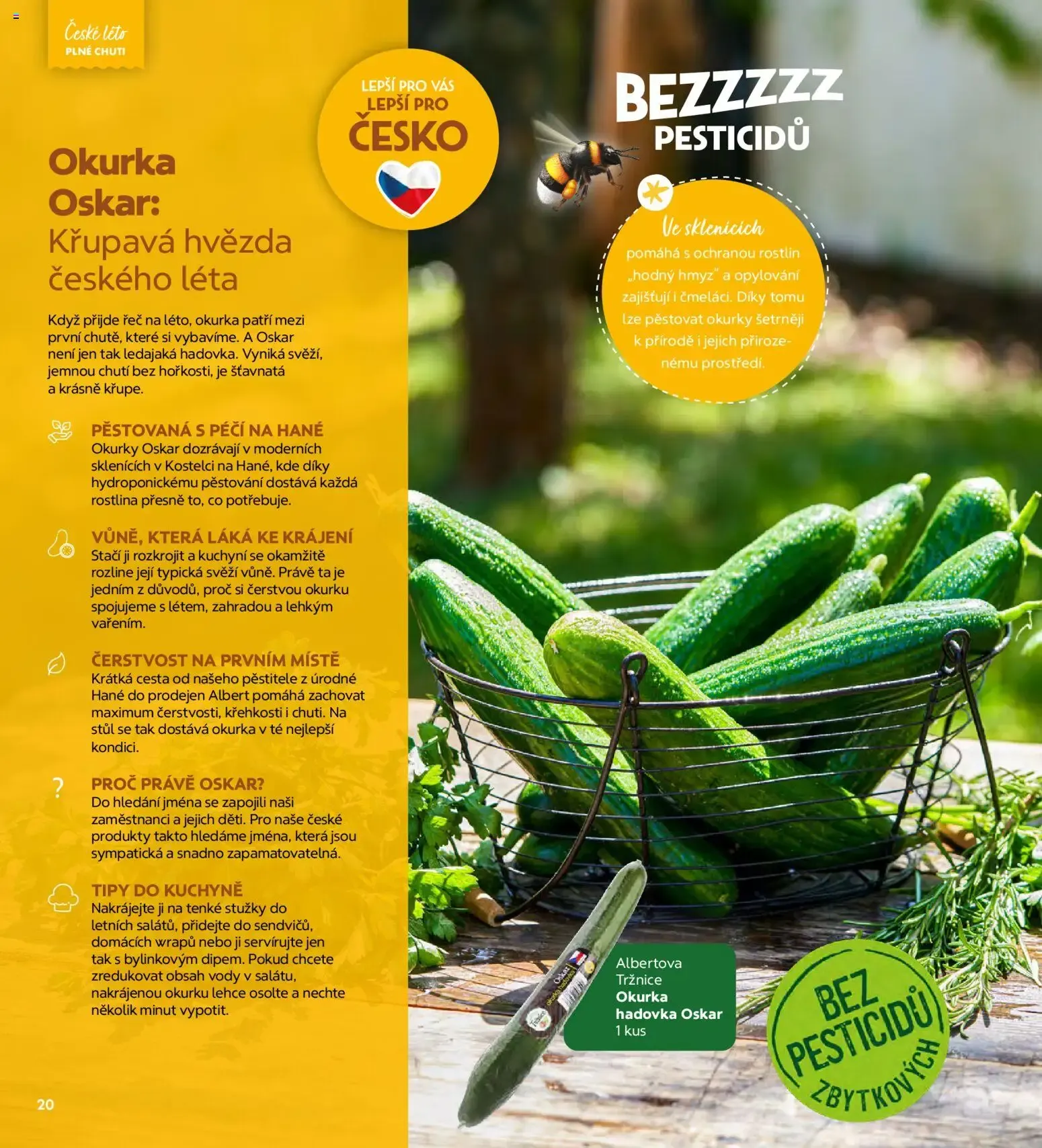 Albert magazín od 01.07.2026 - Akční leták - 1. července 31. srpna 2026 - Page 20