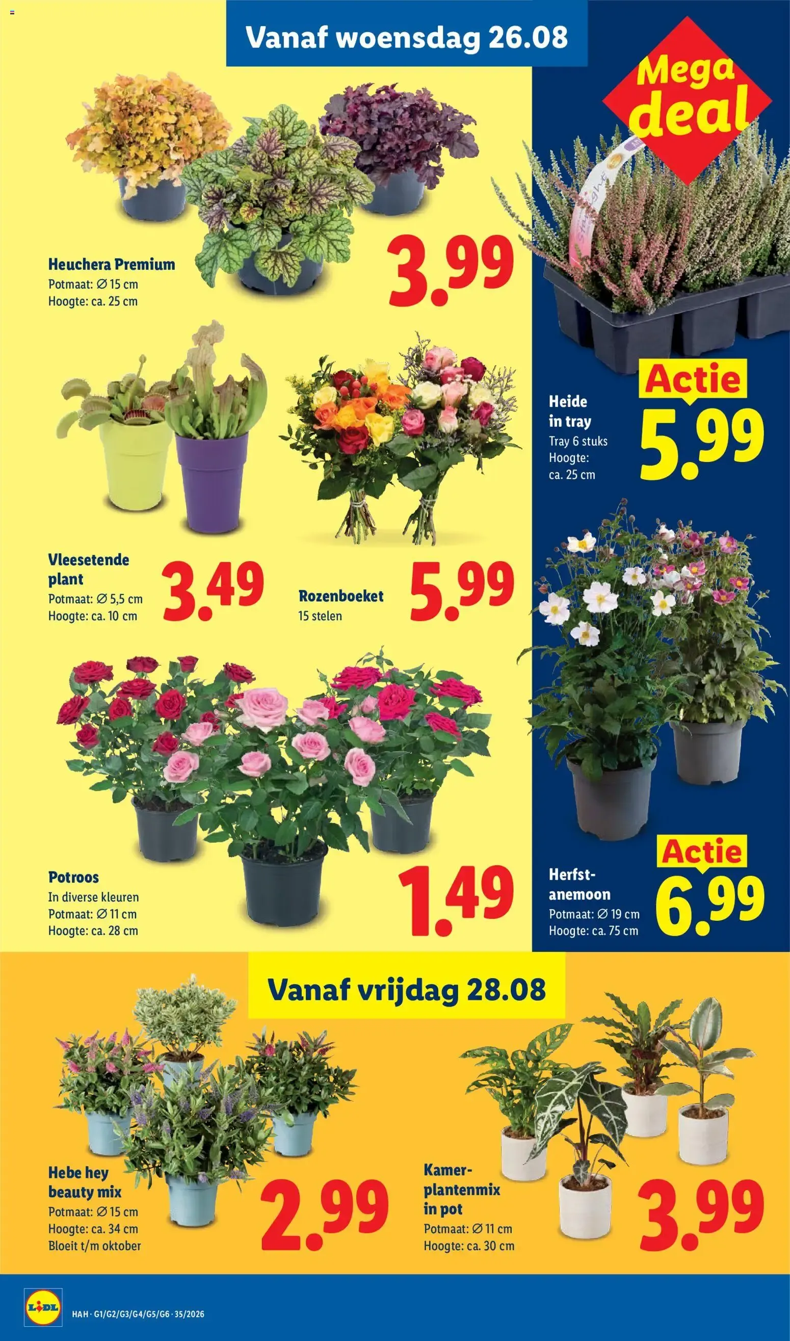 Lidl folder vanaf 24-08-2026 van 24 augustus tot 30 augustus 2026 - Folder pagina 20