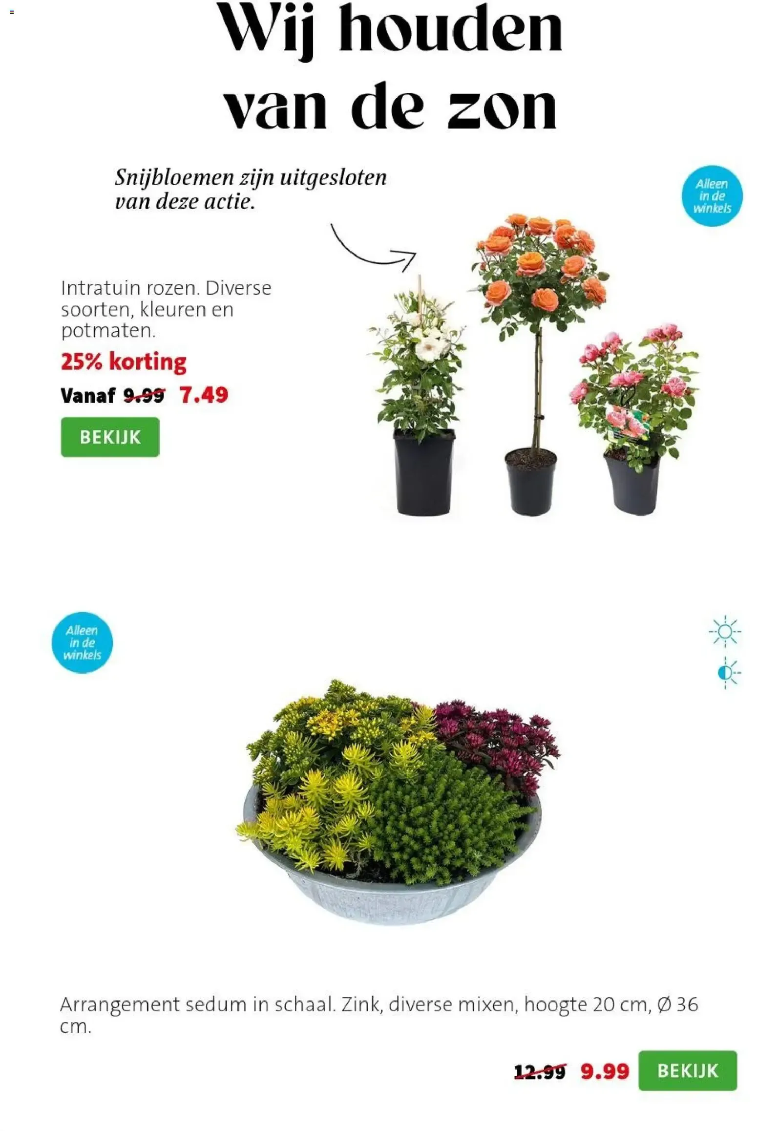 Intratuin: Sale con hasta 50% de descuento van 3 augustus tot 9 augustus 2026 - Folder pagina 6