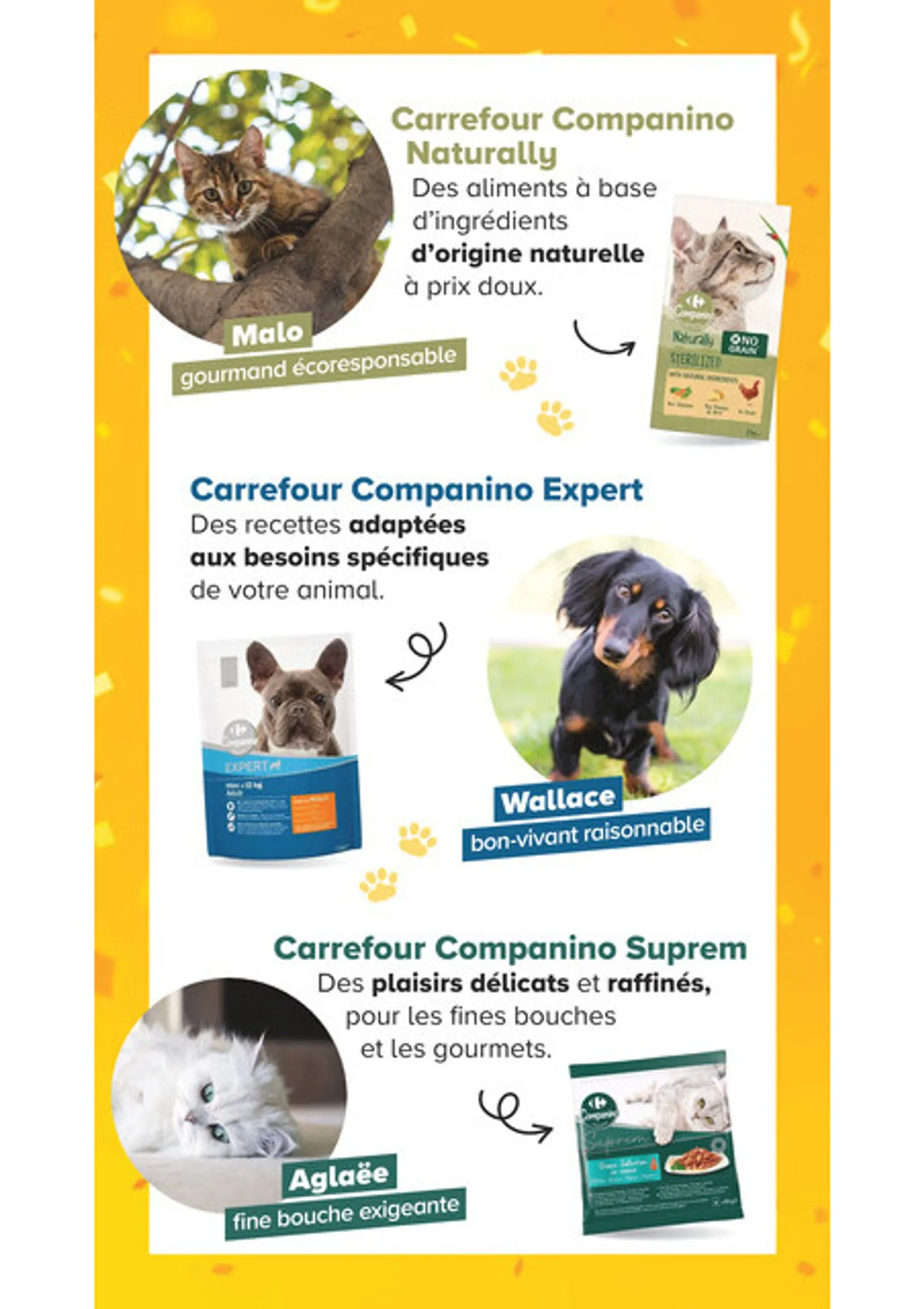 Current Carrefour Market - Découvrez la Marque Carrefour Companino leaflet valid from du mardi 04/08/2026 to du lundi 07/09/2026 du 4 août au 7 septembre 2026 - Catalogue page 9