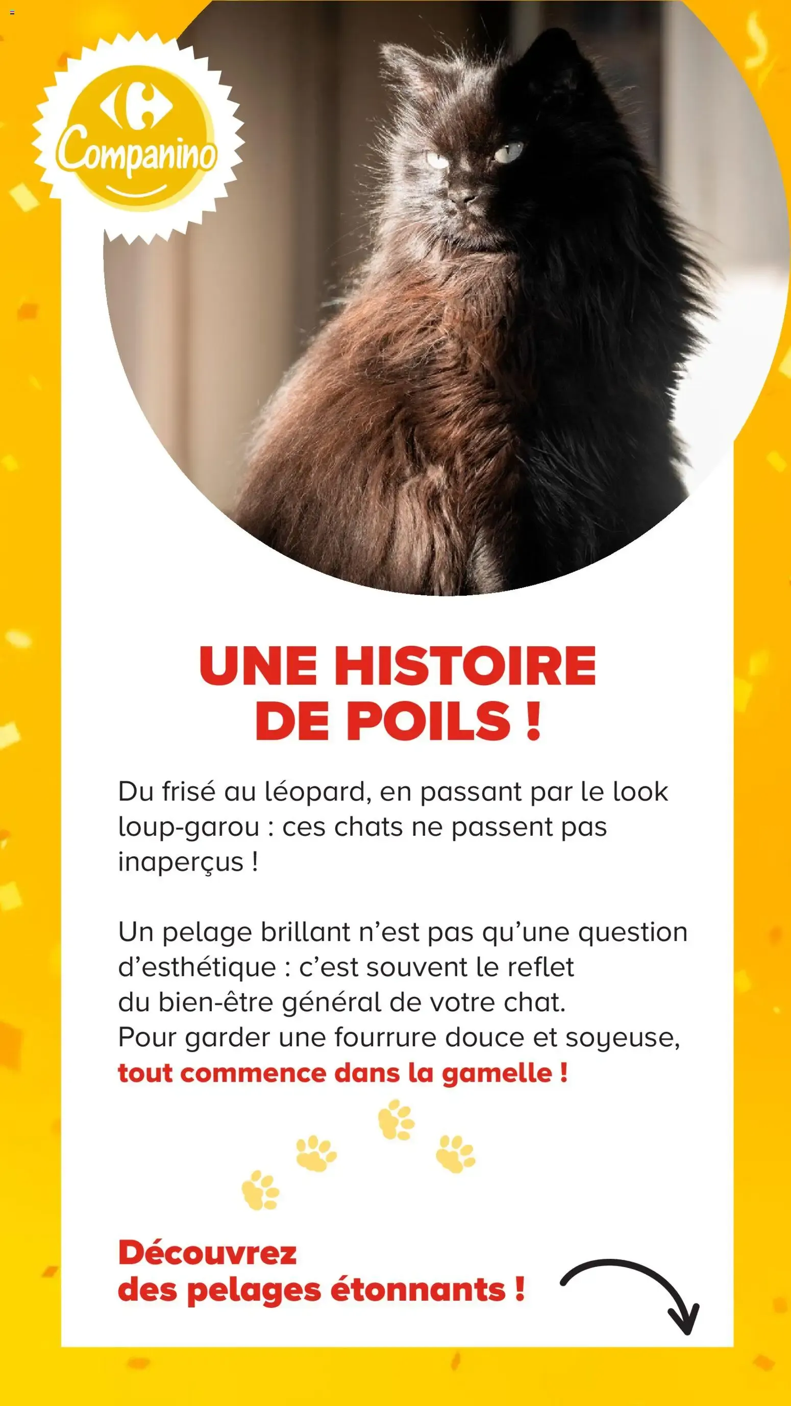 Carrefour Market Découvrez la marque carrefour companino à partir du 04/08/2026 - promo en ligne du 4 août au 7 septembre 2026 - Catalogue page 17