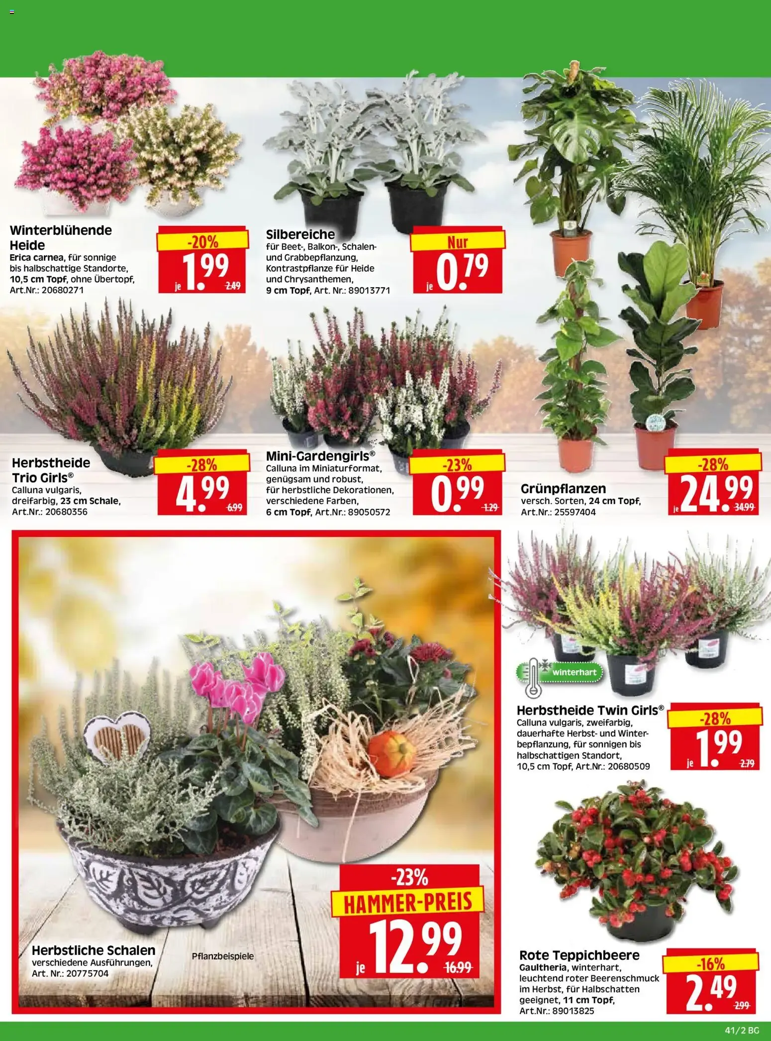HERKULES Bau & Garten (ab 05.10.2026) zum Blättern von 5. Oktober bis 10. Oktober 2026 - Prospekt seite 2