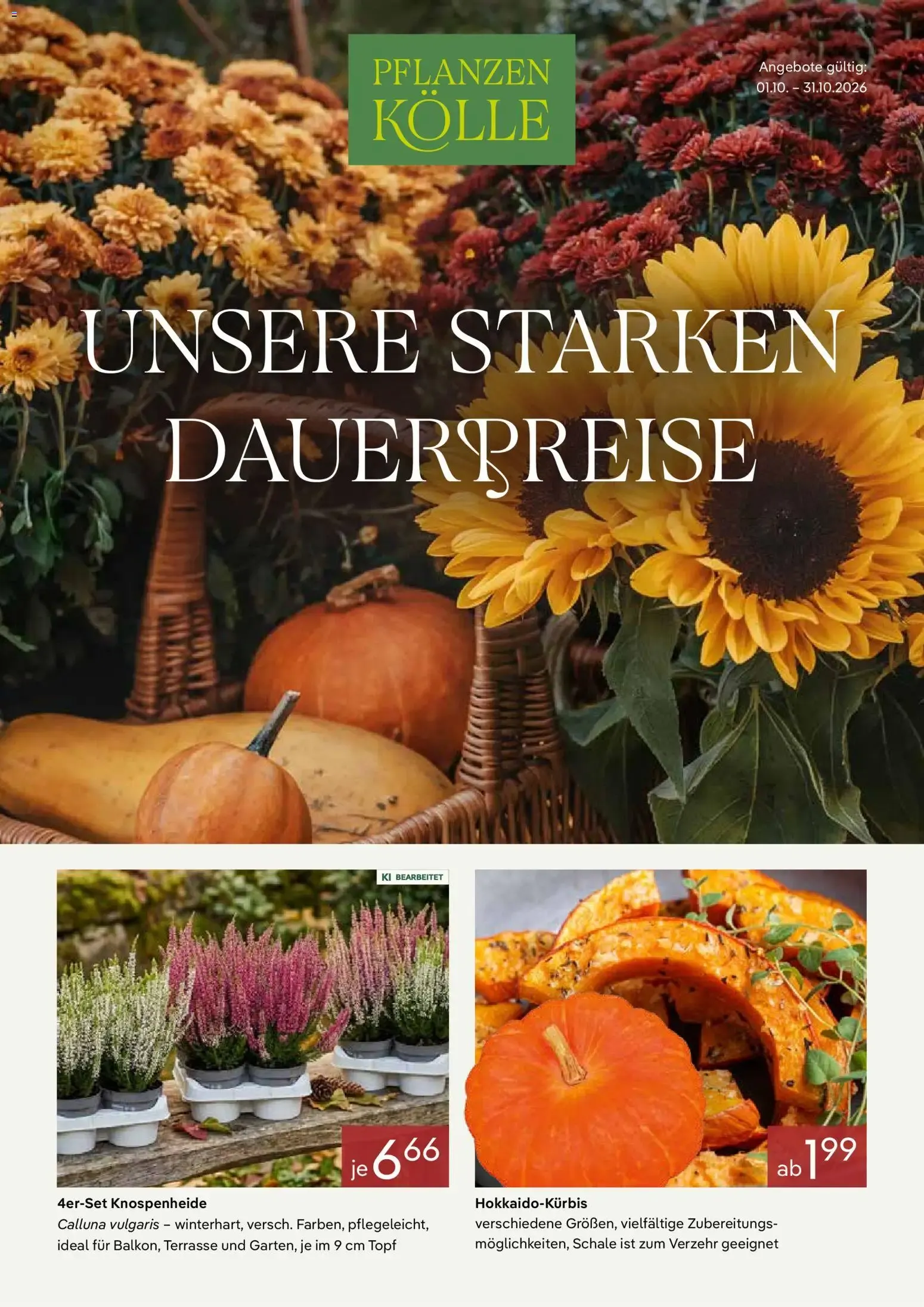 Unsere starken Dauerpreise von 1. Oktober bis 31. Oktober 2026 - Prospekt seite 1
