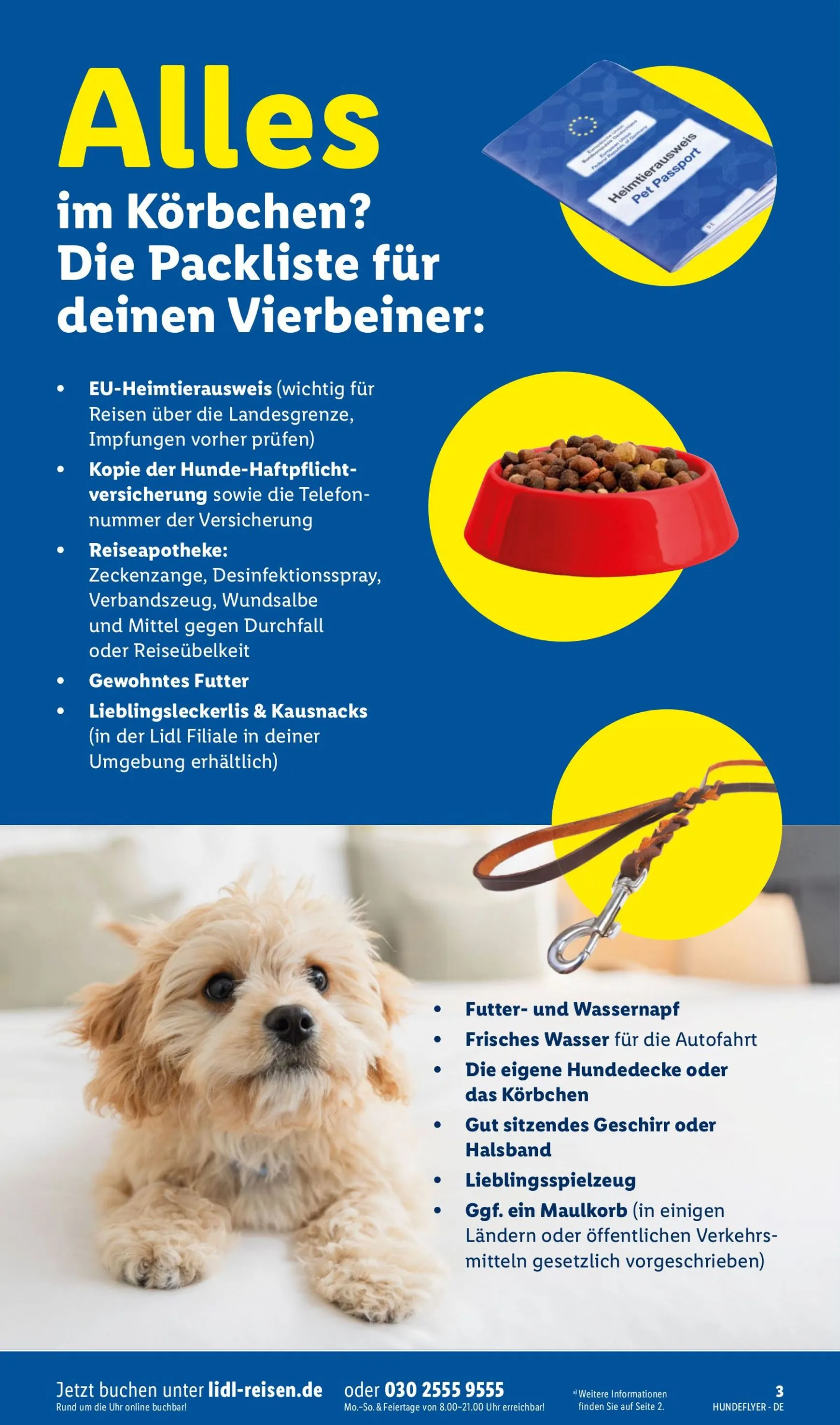 Lidl - Urlaub mit Wau-Effekt lohnt sich Prospekt – von Mittwoch 29.07.2026 bis Montag 31.08.2026 von 29. Juli bis 31. August 2026 - Prospekt seite 3