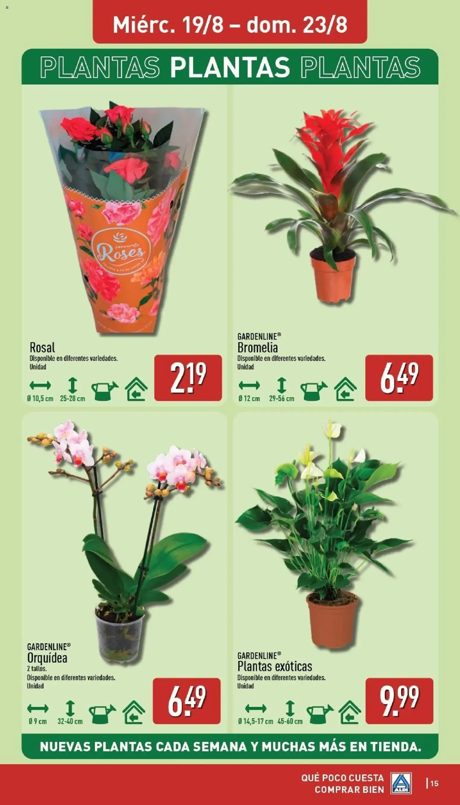 Catálogo de Aldi: Frescura a precios para tirarse a la piscina 17 de agosto al 23 de agosto 2026 - Página 15