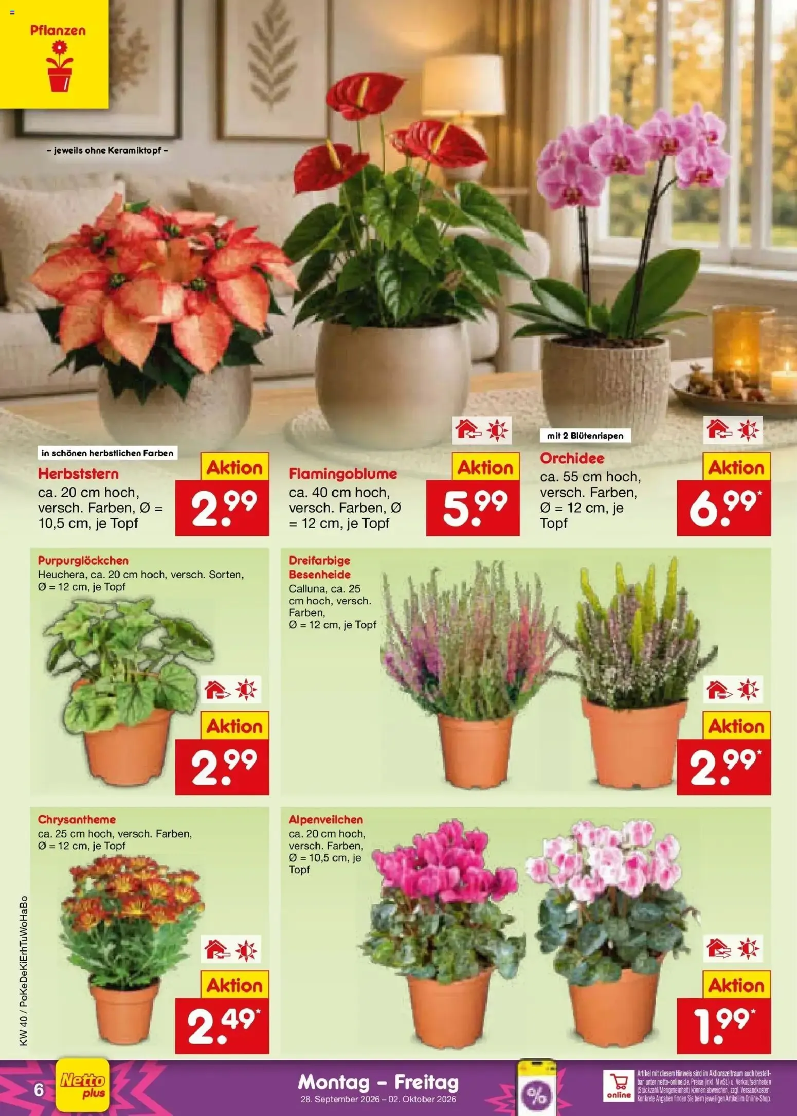 Netto Marken-Discount Prospekt (ab 28.09.2026) » Angebote von 28. September bis 2. Oktober 2026 - Prospekt seite 6
