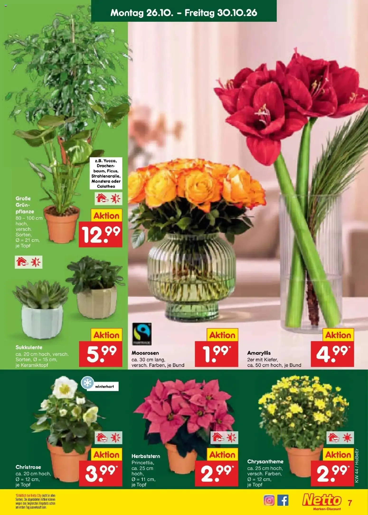Netto Marken-Discount Prospekt Berlin-Prenzlauer Berg (ab 26.10.2026) » Angebote von 26. Oktober bis 30. Oktober 2026 - Prospekt seite 9