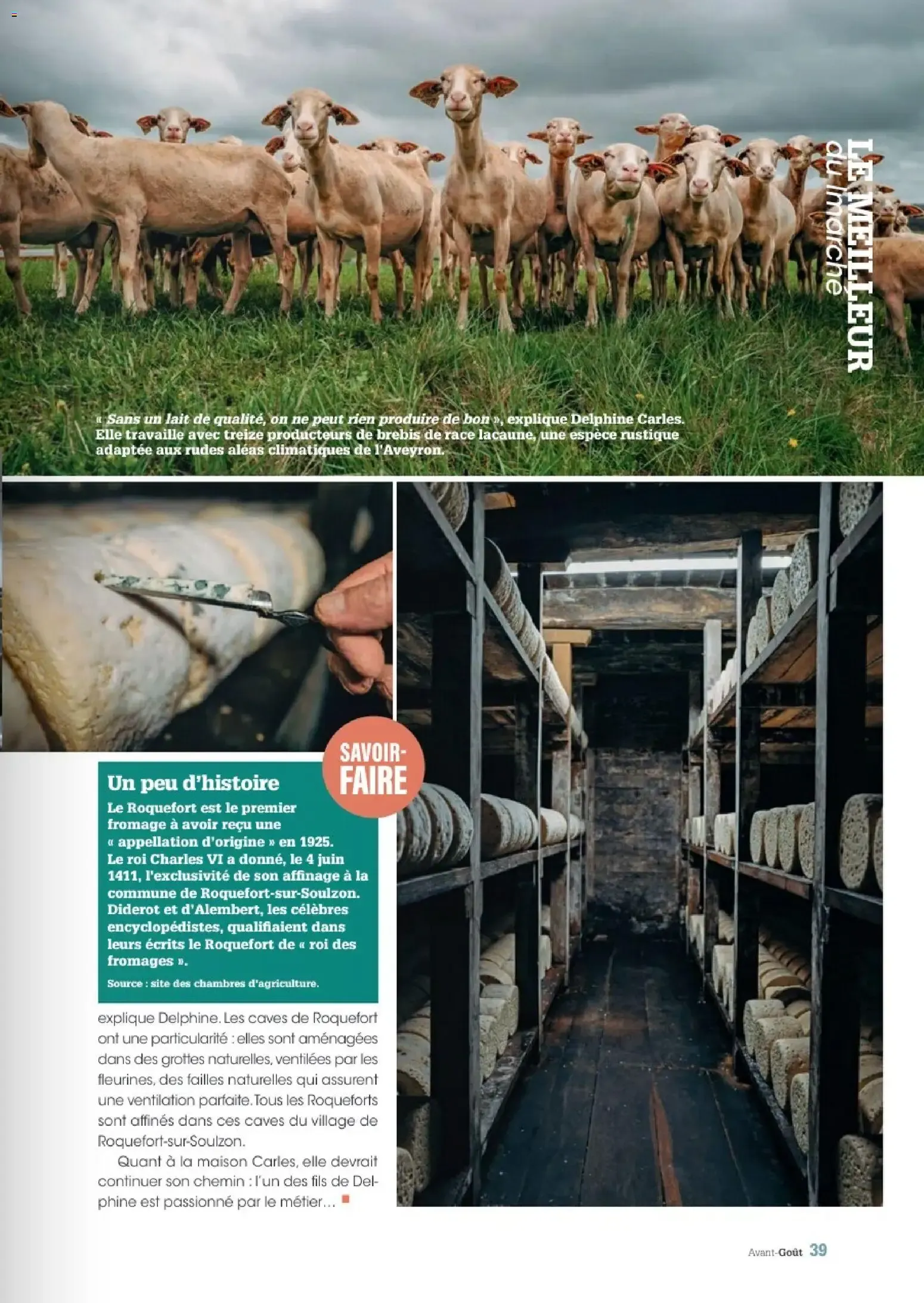 Avant-Gout Grand Frais - Été 2026 du 30 septembre au 31 octobre 2026 - Catalogue page 39