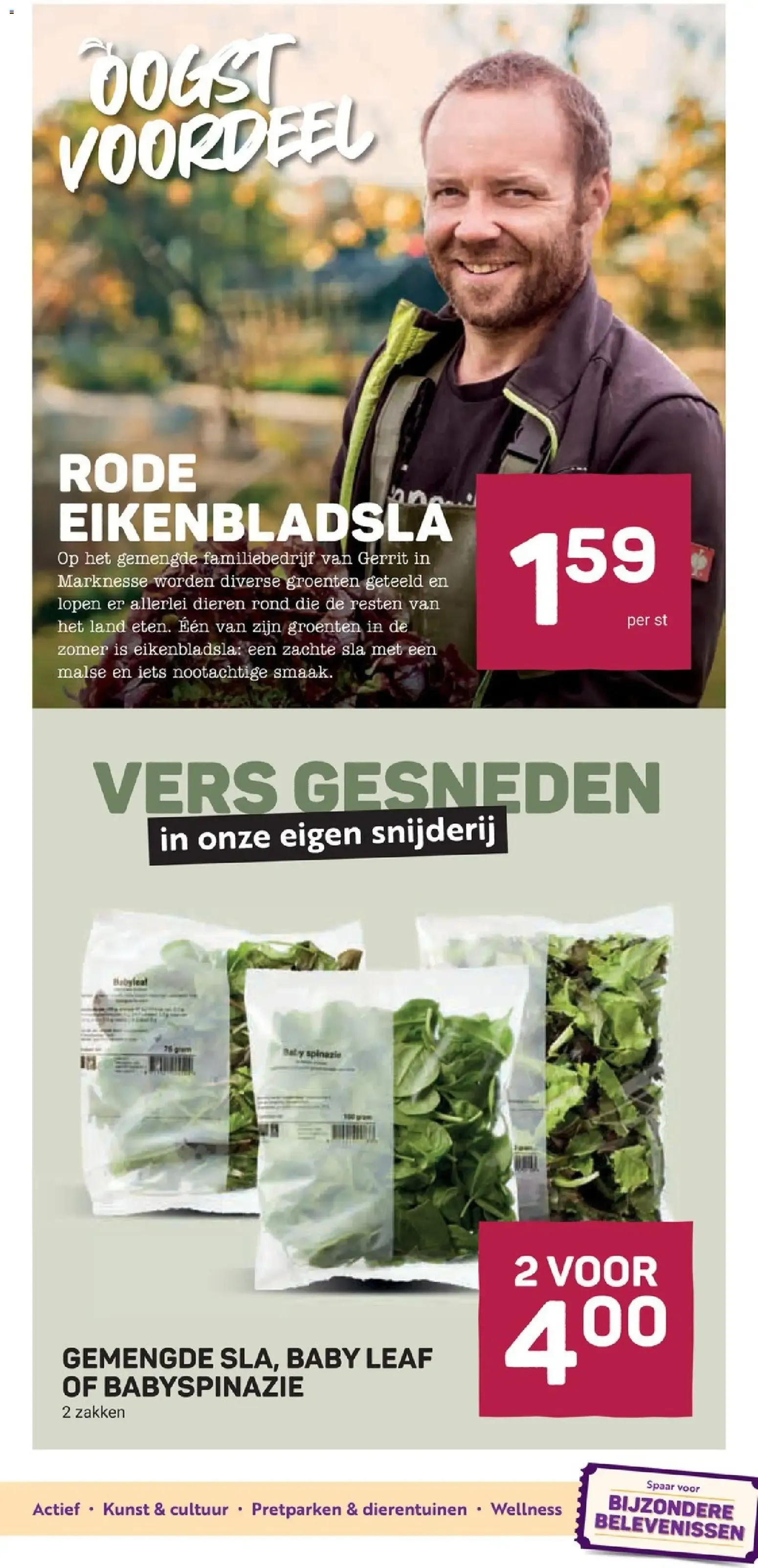 Ekoplaza folder van 19 augustus tot 25 augustus 2026 - Folder pagina 9