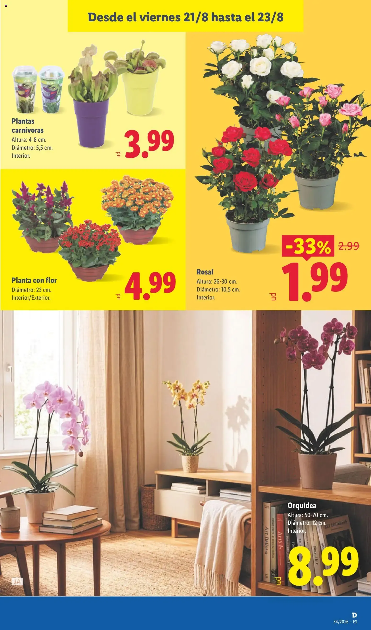 Catálogo de Lidl: Batimos el récord del ahorro 17 de agosto al 23 de agosto 2026 - Página 49