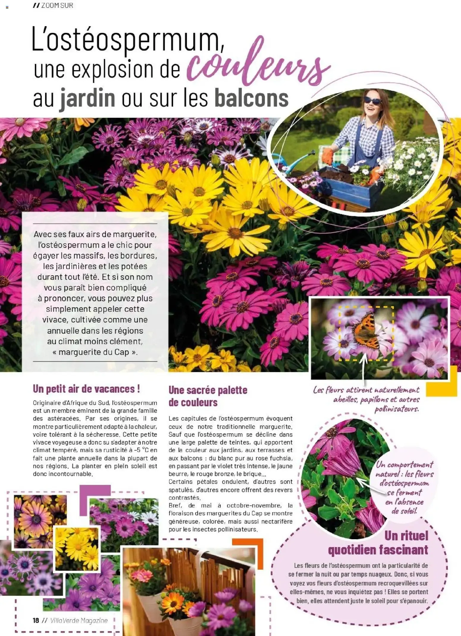 VillaVerde Magazine du 1 avril au 30 septembre 2026 - Catalogue page 12
