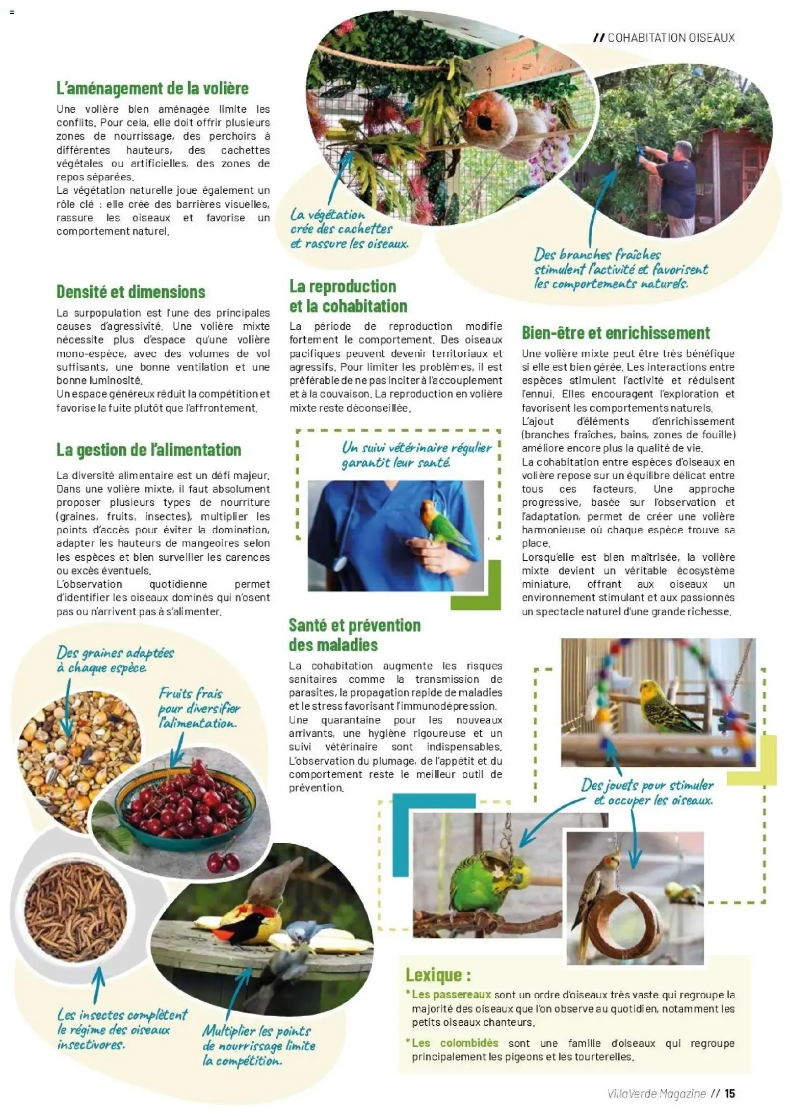 VillaVerde MAGAZINE ANIMALERIE 2026 du 28 mai au 31 août 2026 - Catalogue page 14