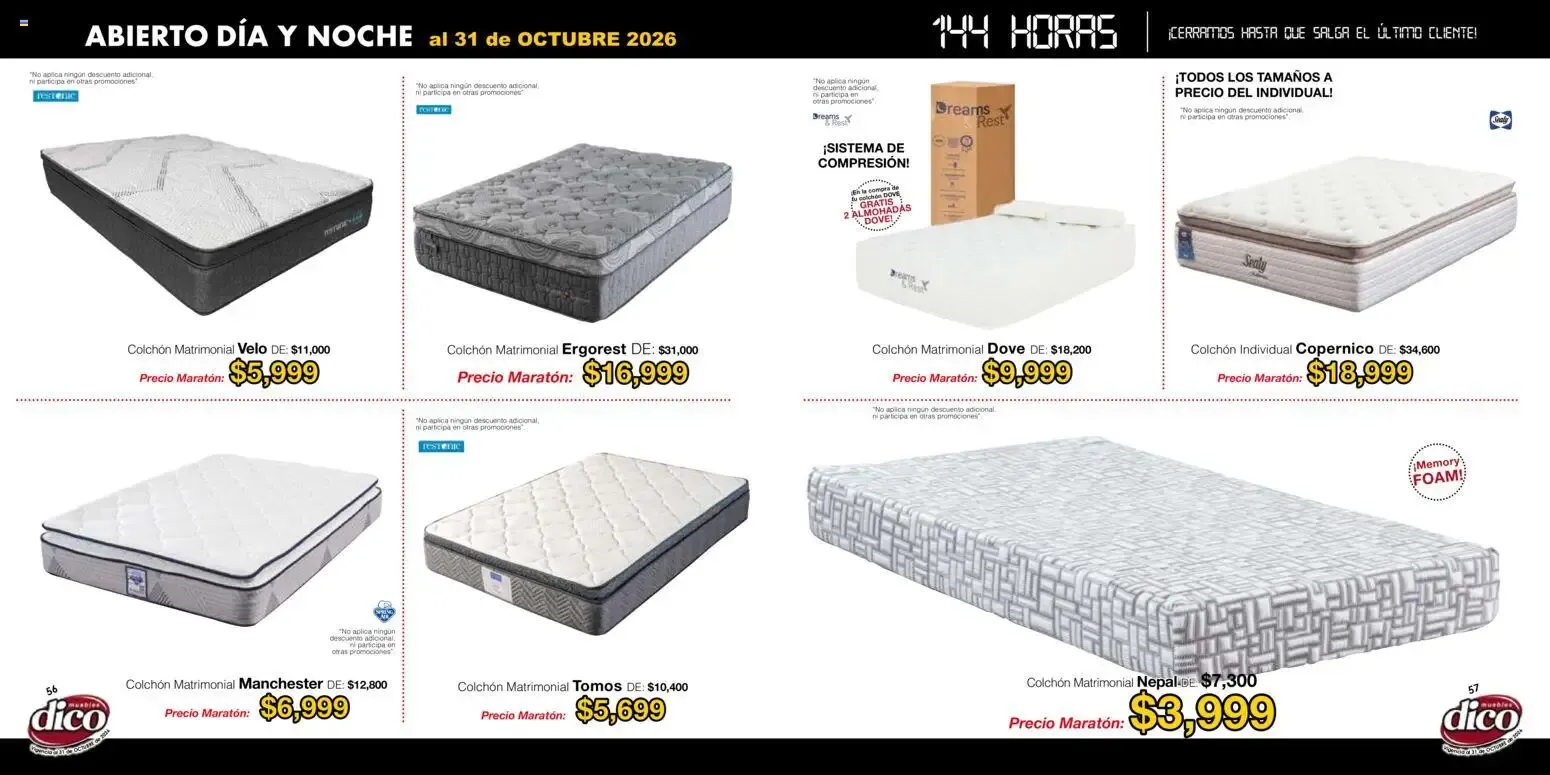 Catálogo de VENTA MARATÓNICA 22 de enero al 31 de octubre 2026 - Pagina 29