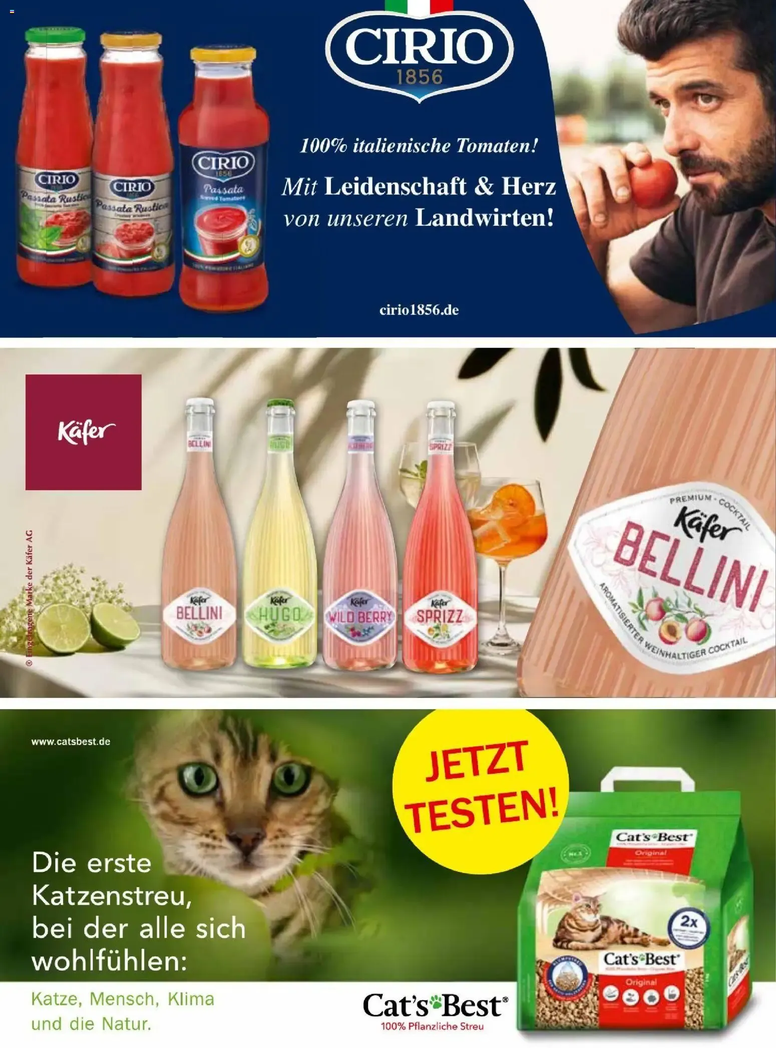 V-Markt Vielfatt von 1. September bis 31. Oktober 2026 - Prospekt seite 29