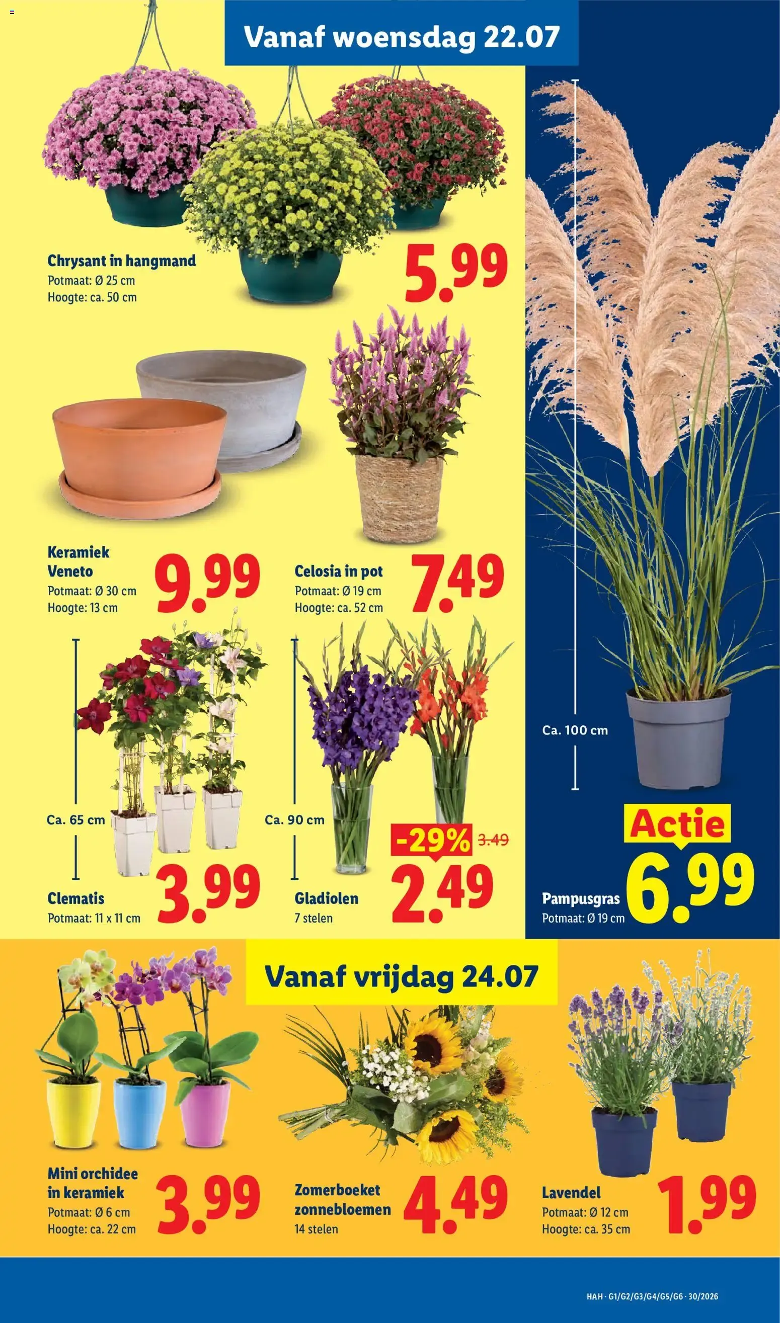 Lidl folder vanaf 20-07-2026 -- NIEUWE van 27 juli tot 26 juli 2026 - Folder pagina 14