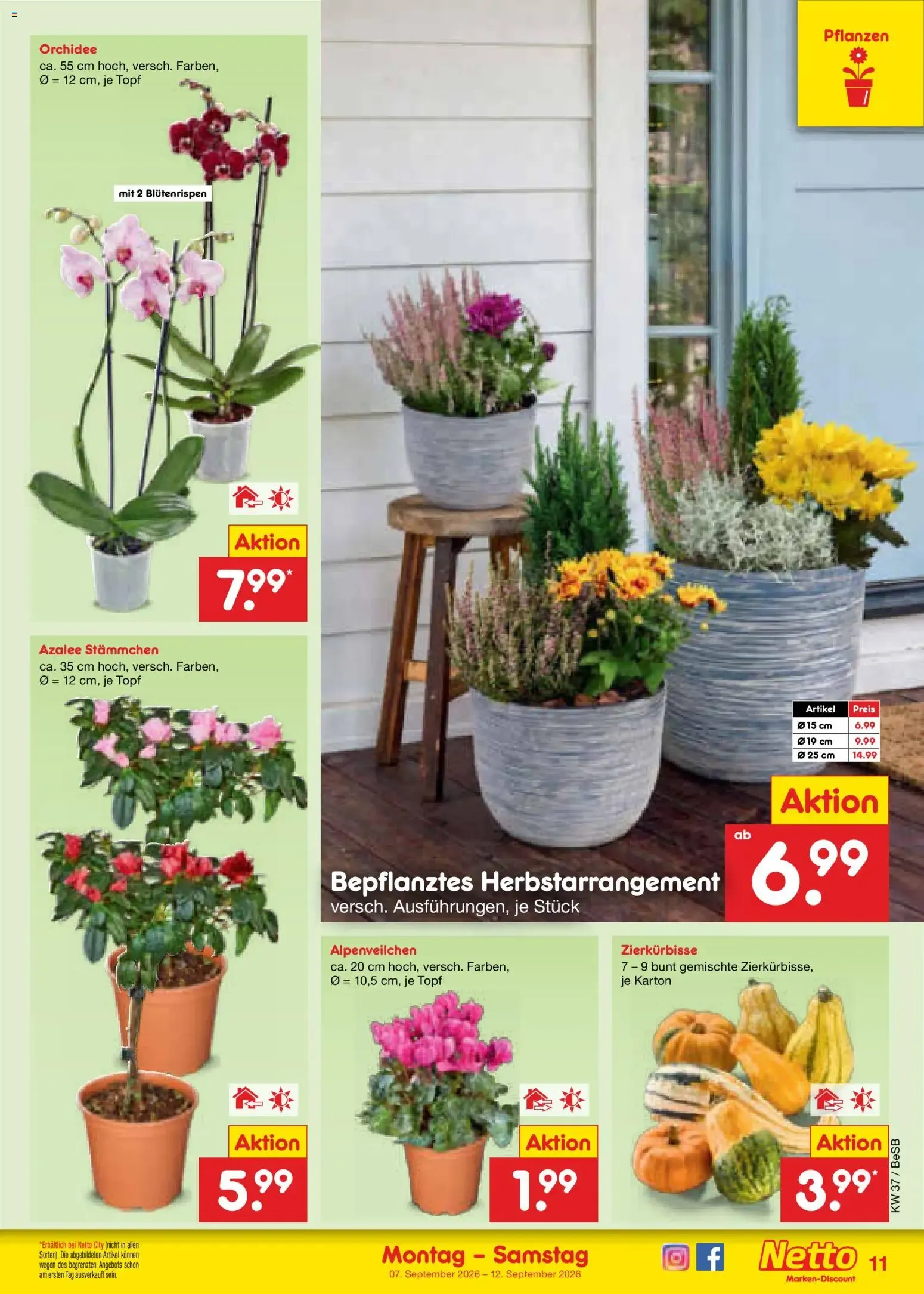 Netto Marken-Discount Prospekt (ab 07.09.2026) » Angebote von 7. September bis 12. September 2026 - Prospekt seite 17