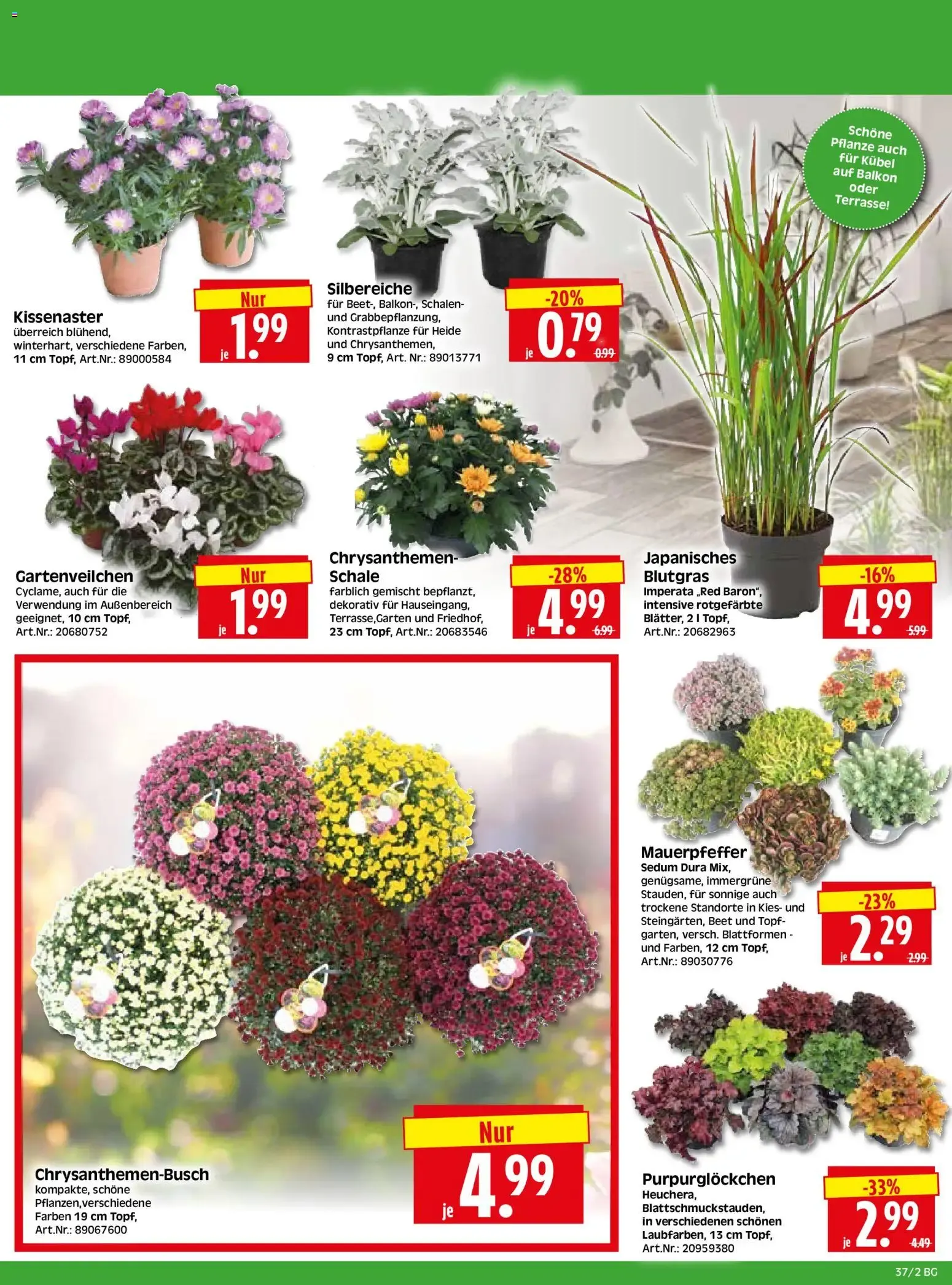 HERKULES Bau & Garten (ab 07.09.2026) zum Blättern von 7. September bis 12. September 2026 - Prospekt seite 2