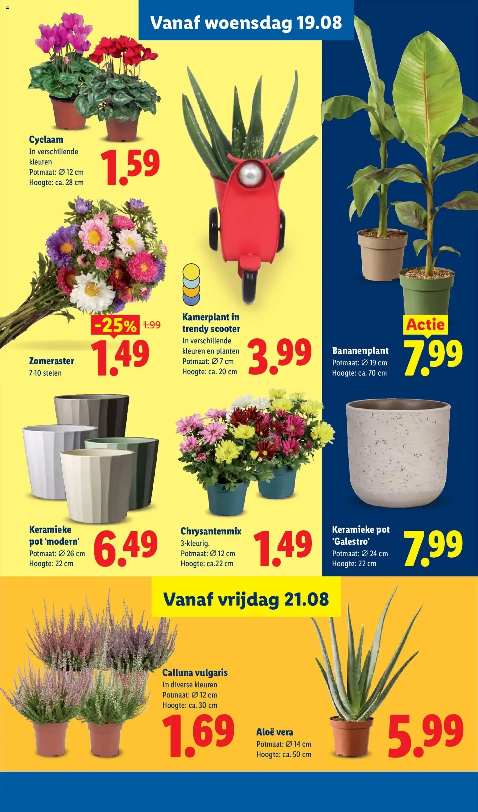 Lidl folder vanaf 17-08-2026 -- NIEUWE van 17 augustus tot 23 augustus 2026 - Folder pagina 17