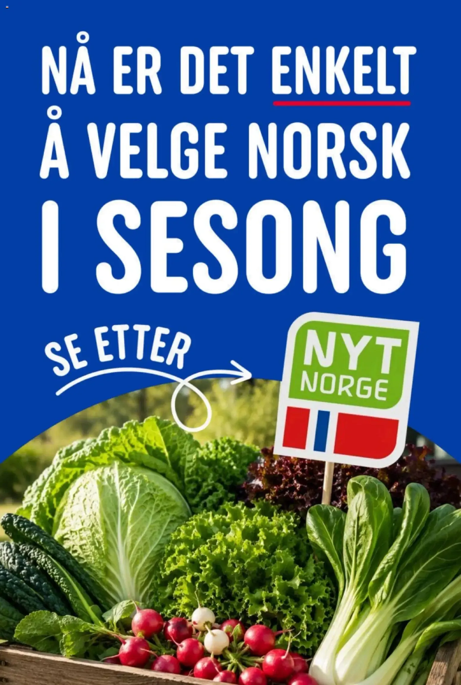 NYT SOMMEREN TIL ALLTID LAVE PRISER fra 29. juni til 4. juli 2026 - kundeavisside 15