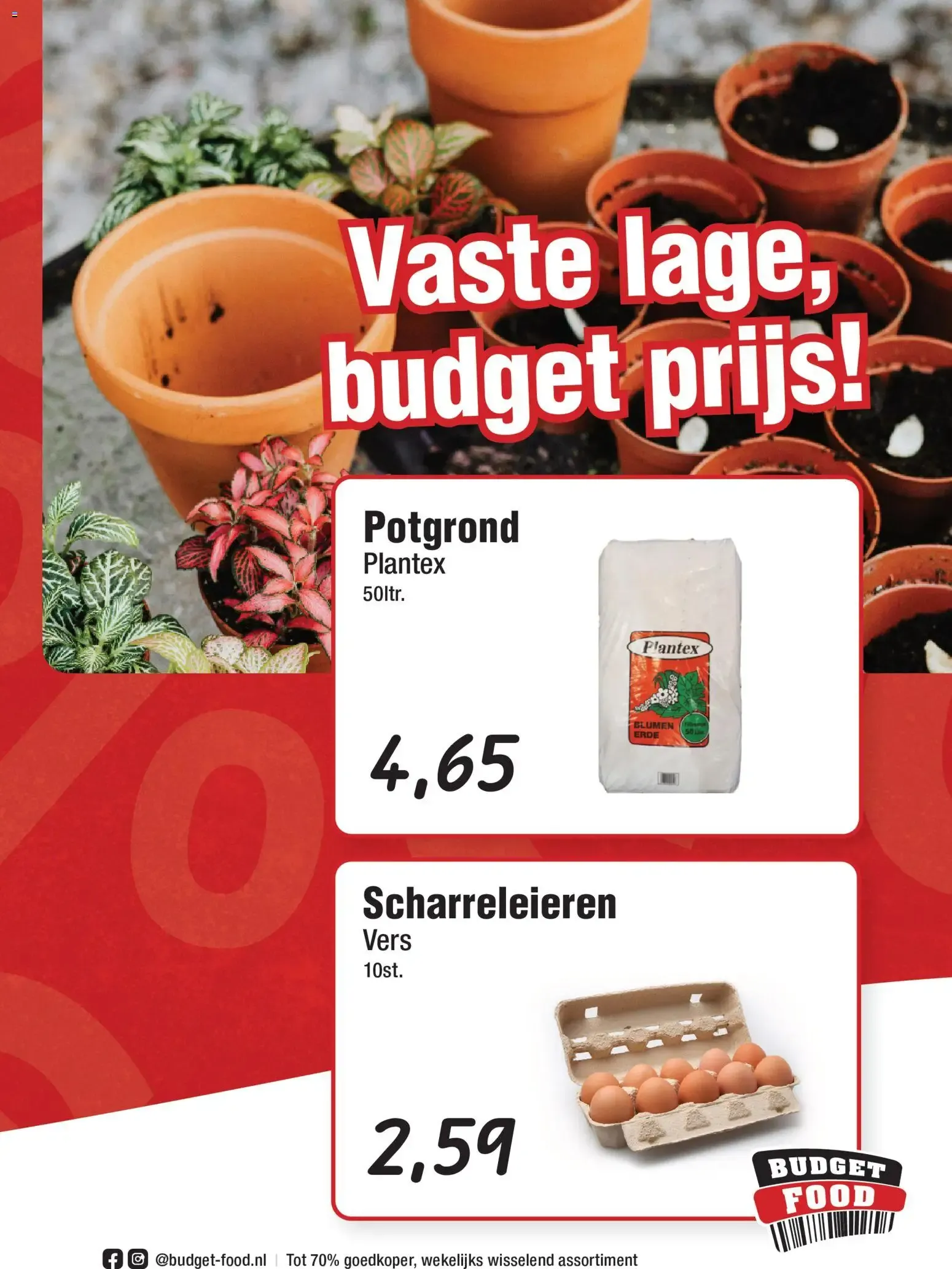 Budget Food folder vanaf 05-06-2026 || NIEUWE van 5 juni tot 11 juni 2026 - Folder pagina 5