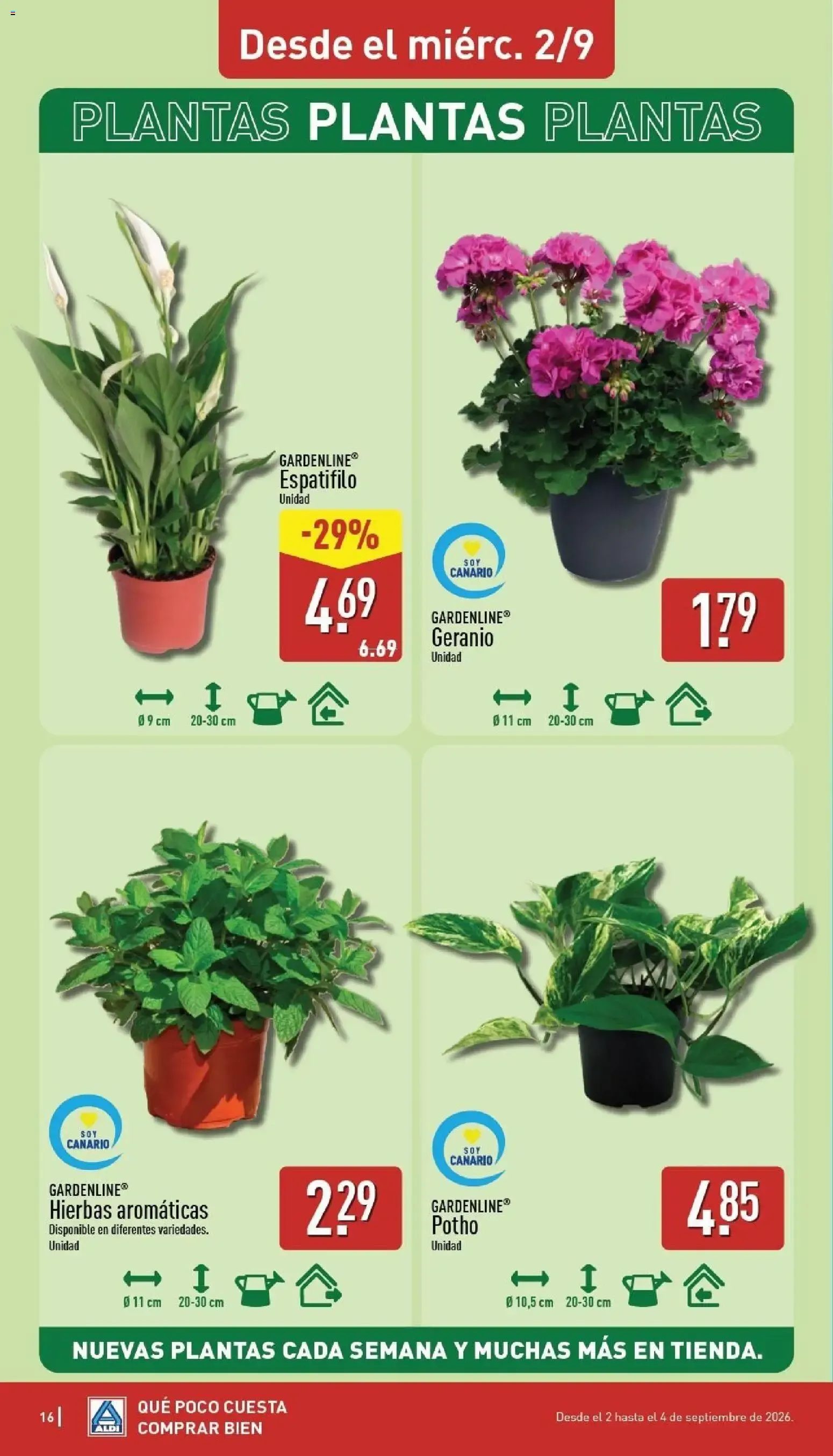 Catálogo de Aldi folleto | Catálogo 31 de agosto al 6 de septiembre 2026 - Página 15