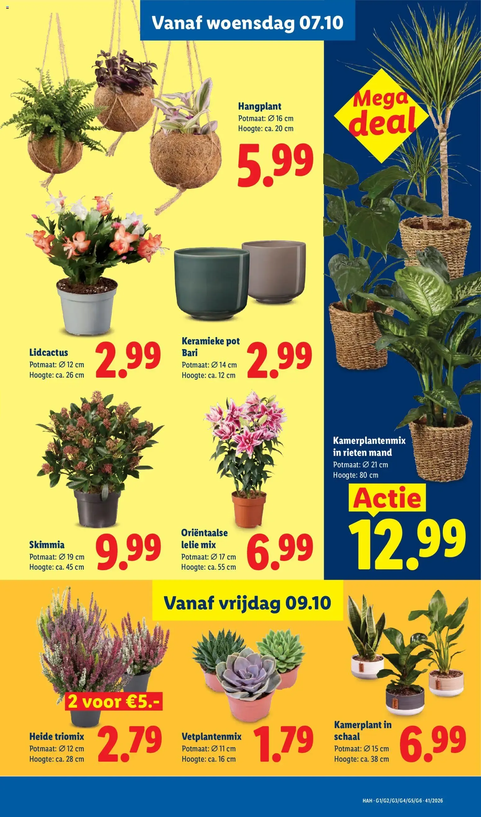 Lidl folder van 5 oktober tot 11 oktober 2026 - Folder pagina 13